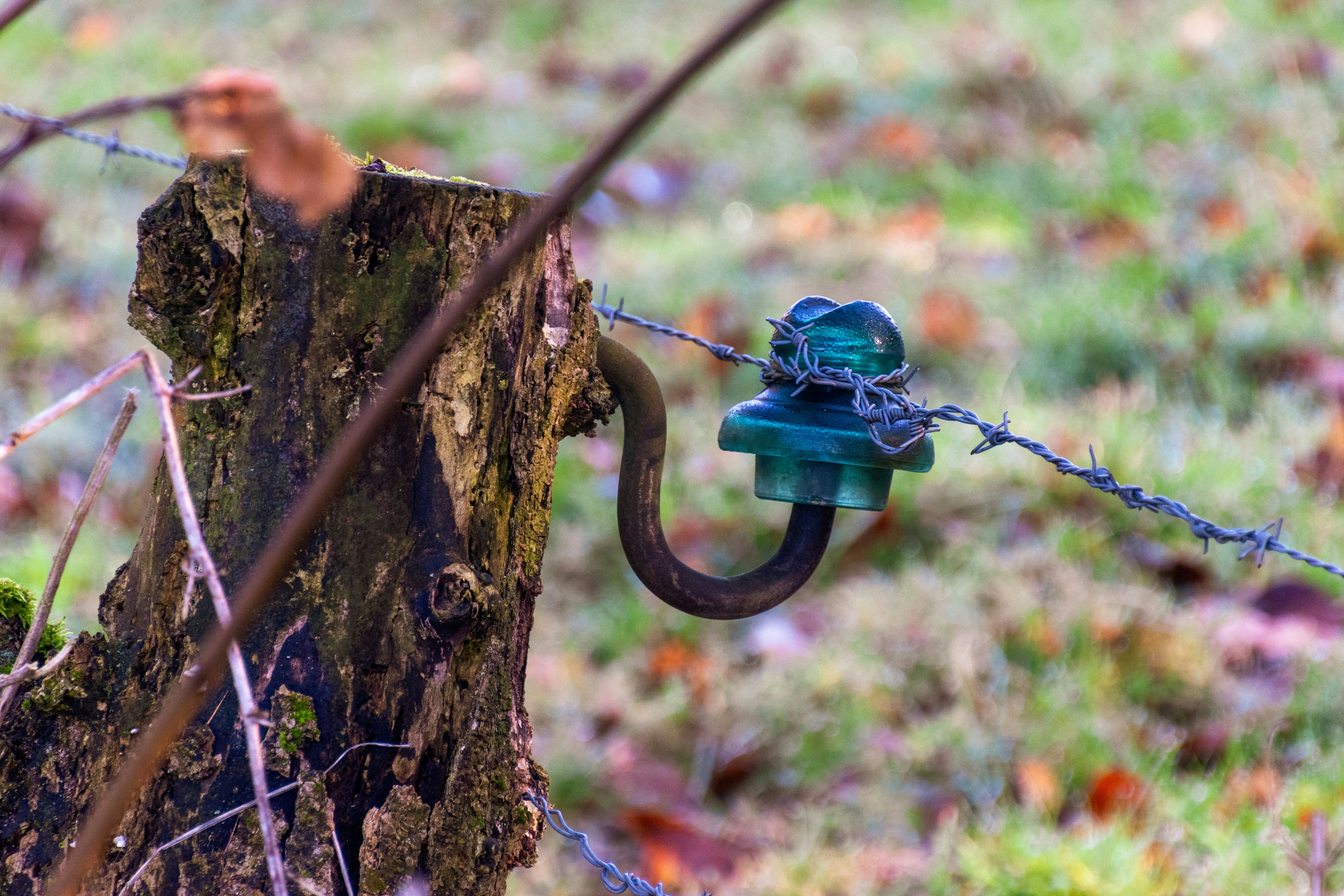 A green glass insulator on a barbed wire fence.