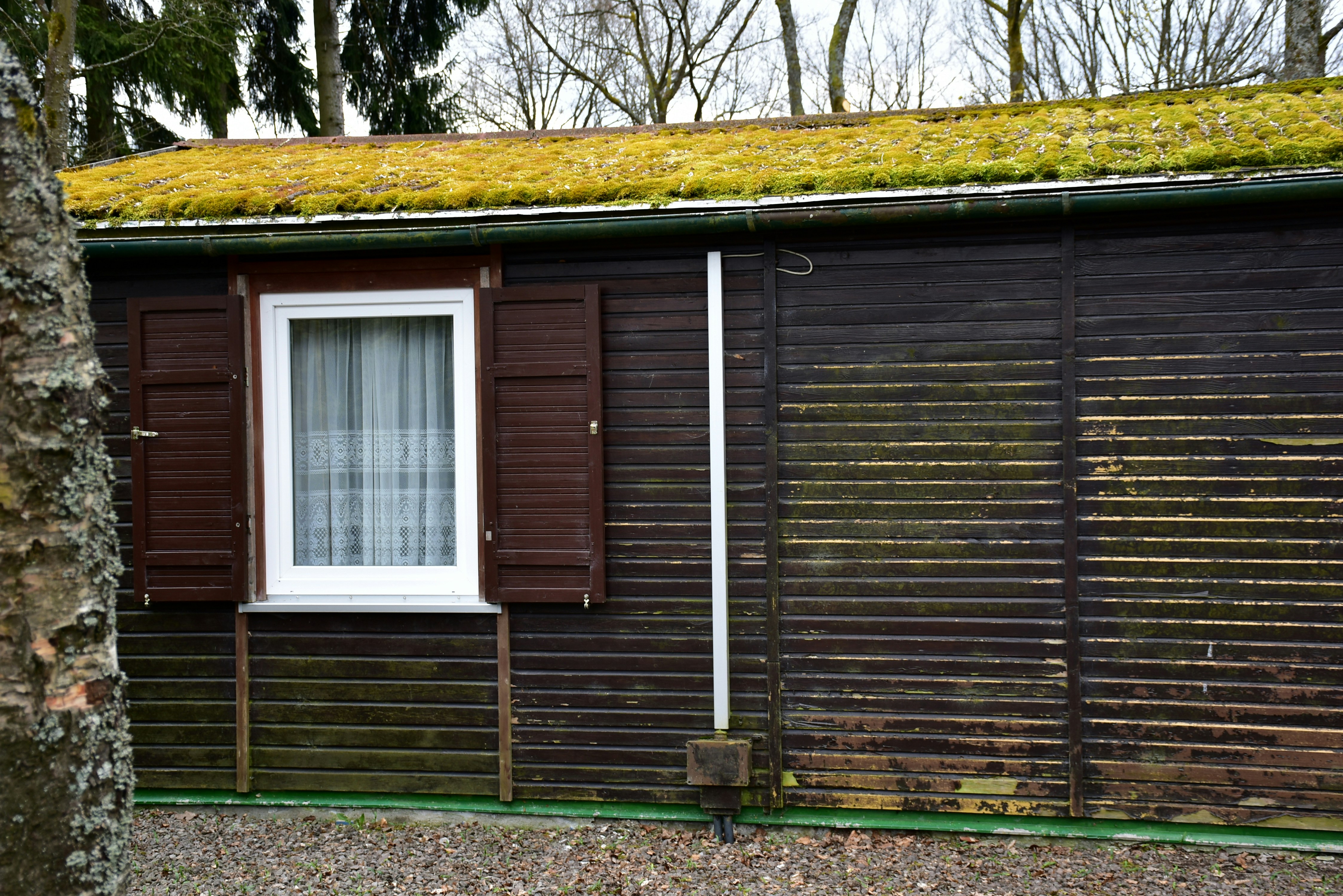 Capanna in legno con tetto verde e finestra