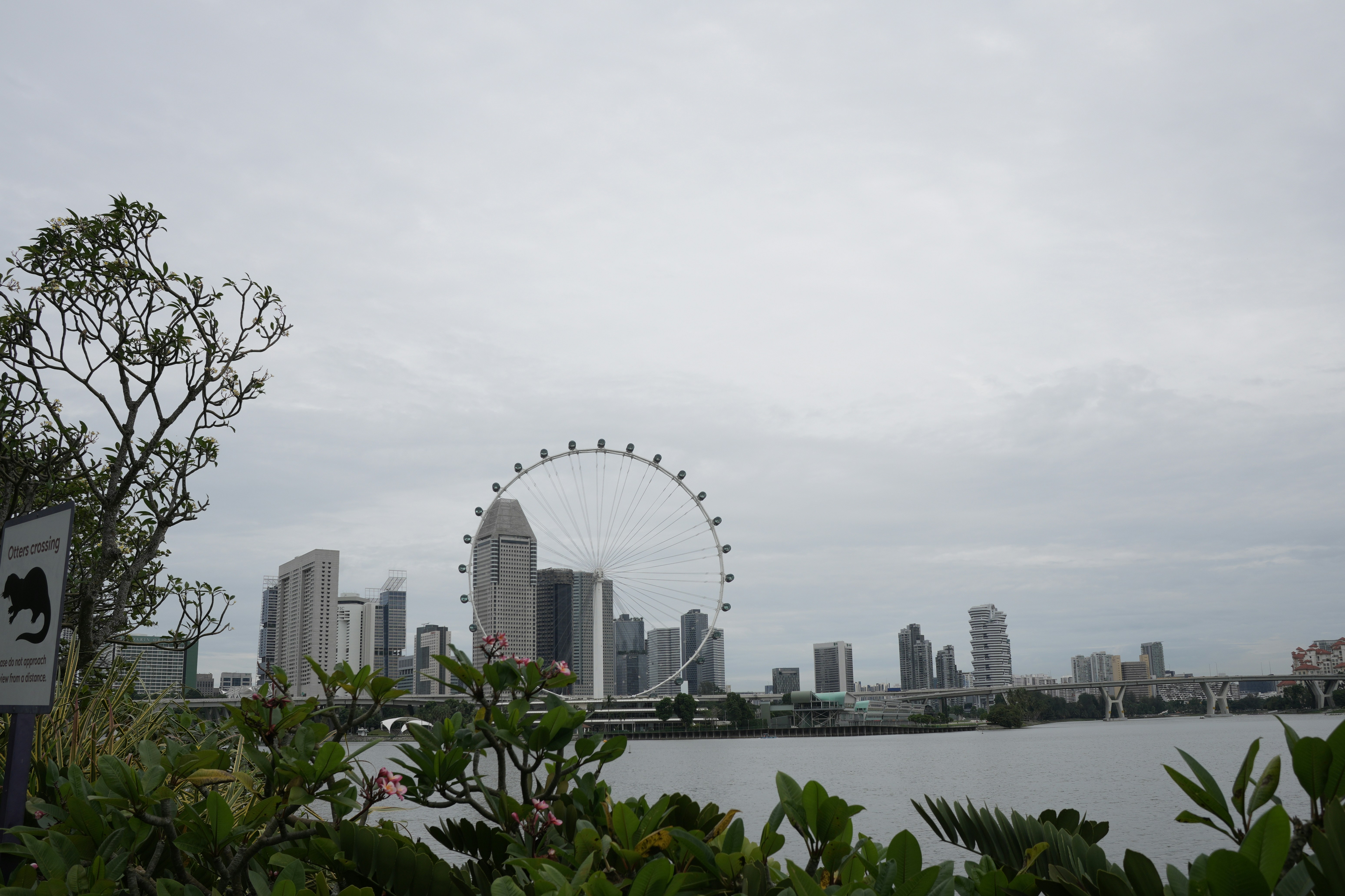 Planowanie trasy podróży służbowej na nowoczesnej tablicy prezentacyjnej