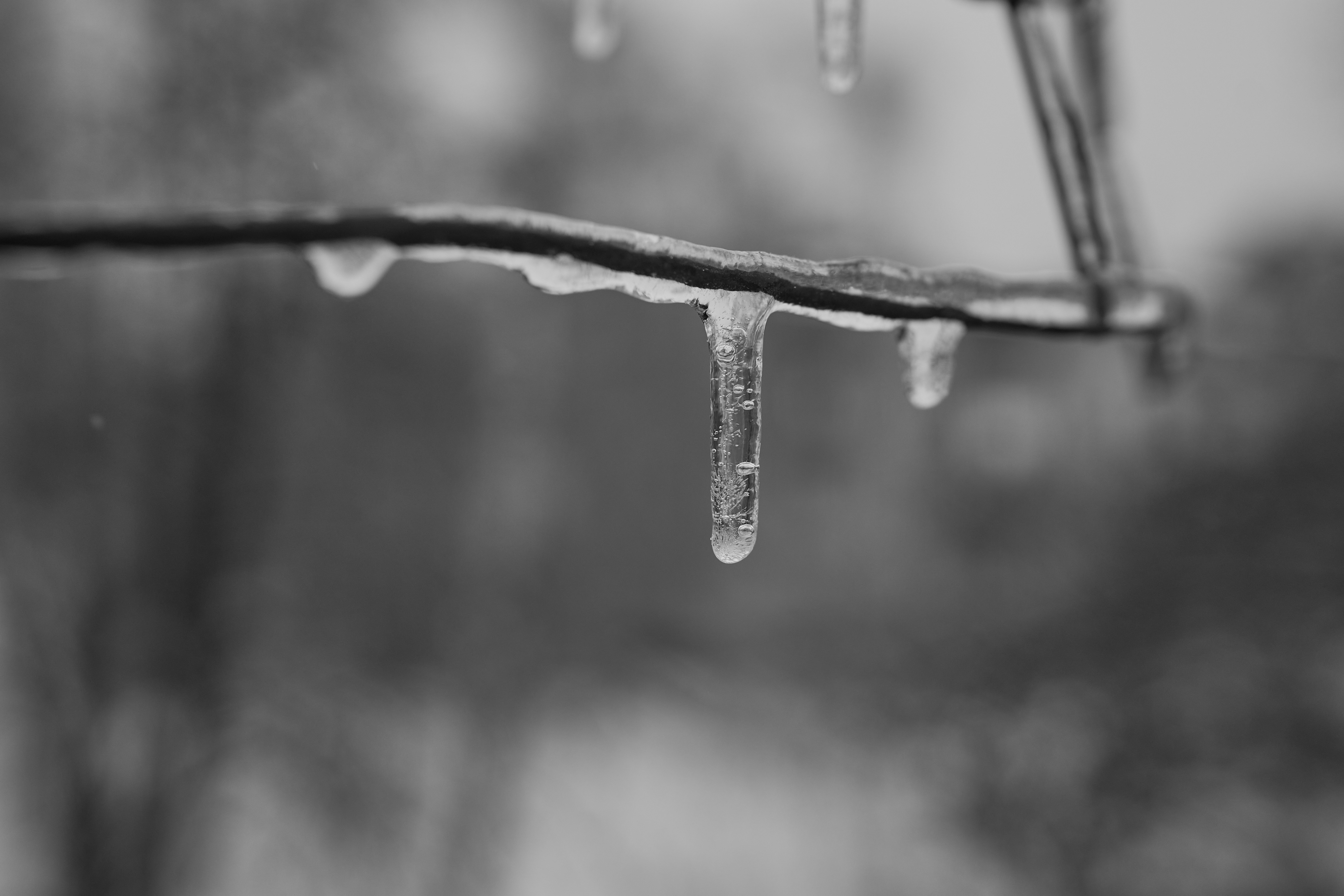 Photo by innercoldfield