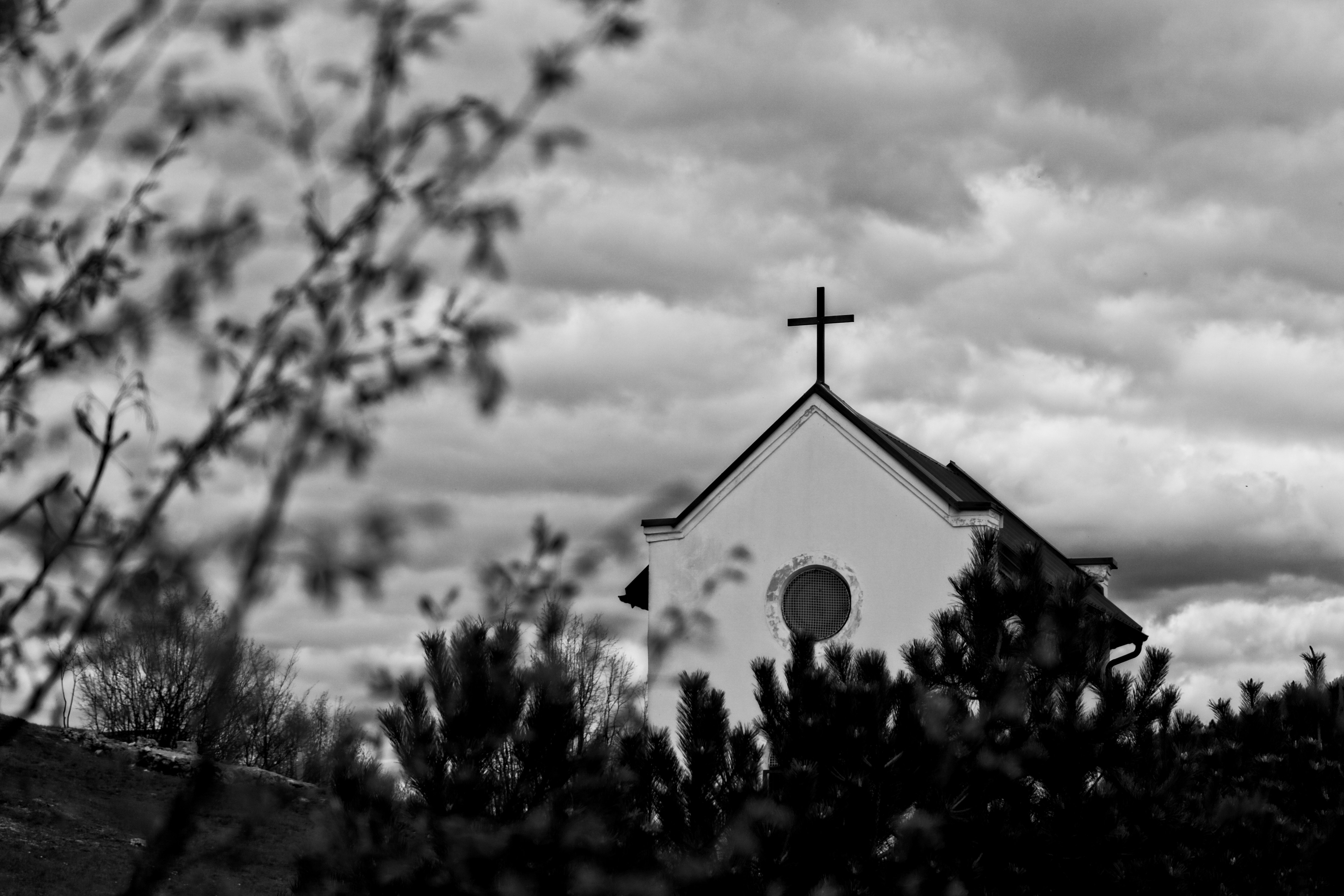 Photo by nedimshoots