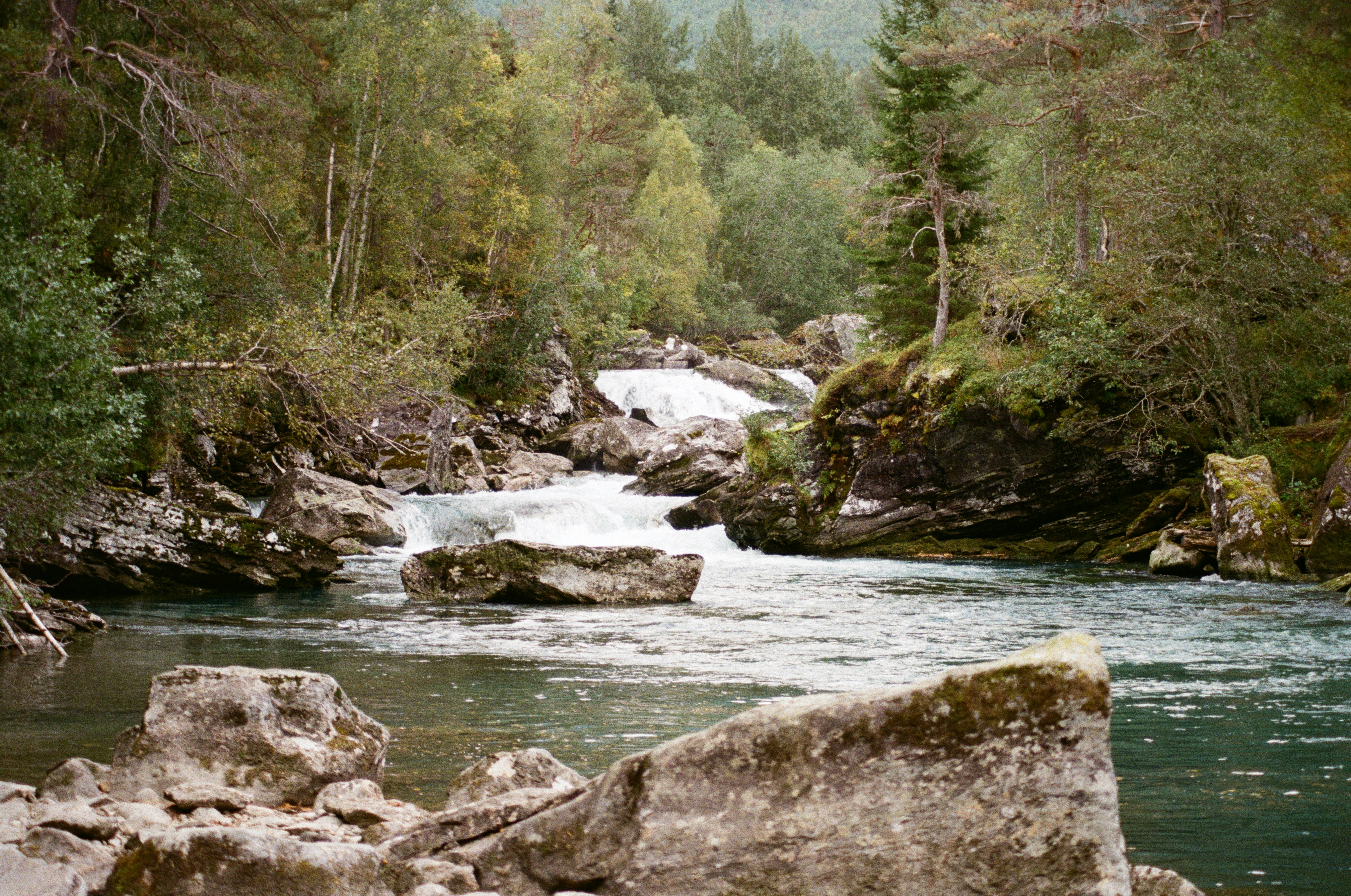 Photo by bernhardbar