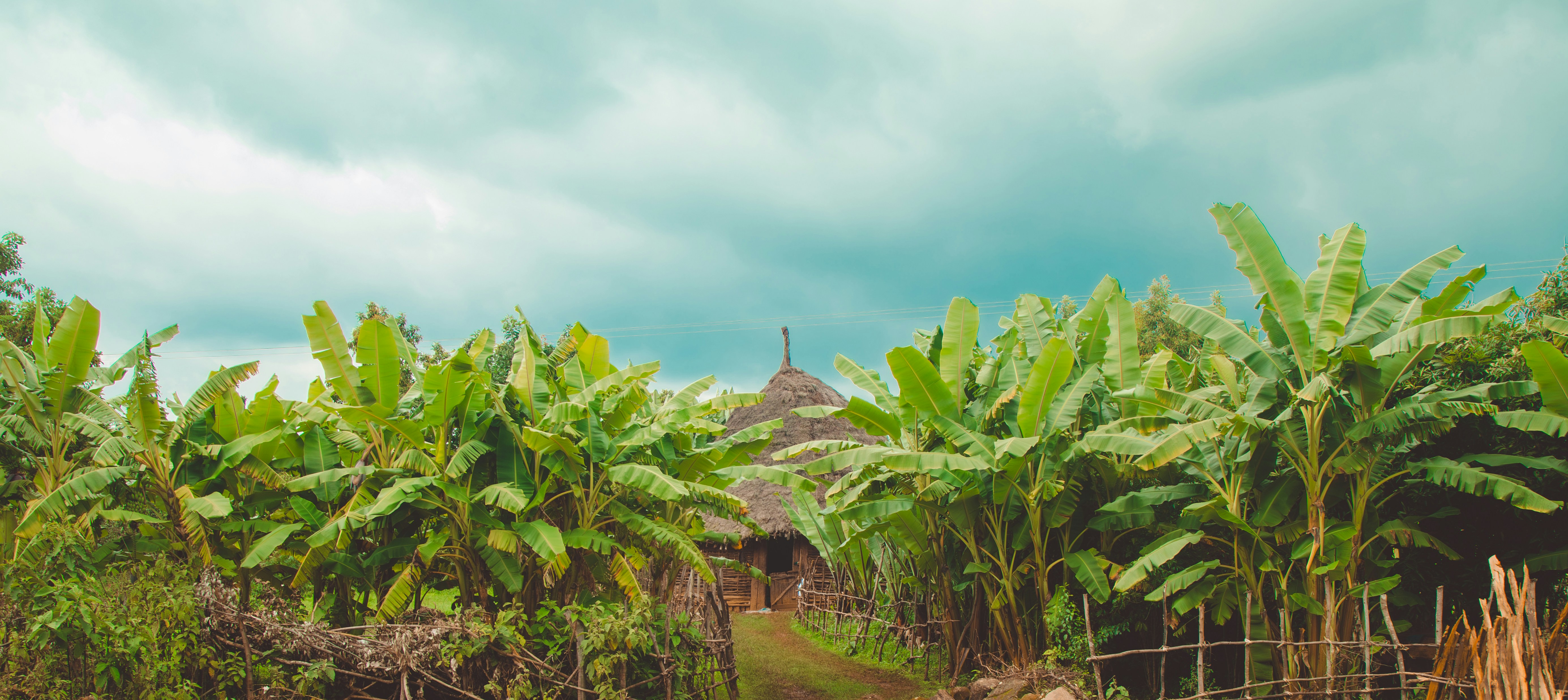 Fuel and fertiliser risks — why Middle East conflict threatens SA’s food price outlook