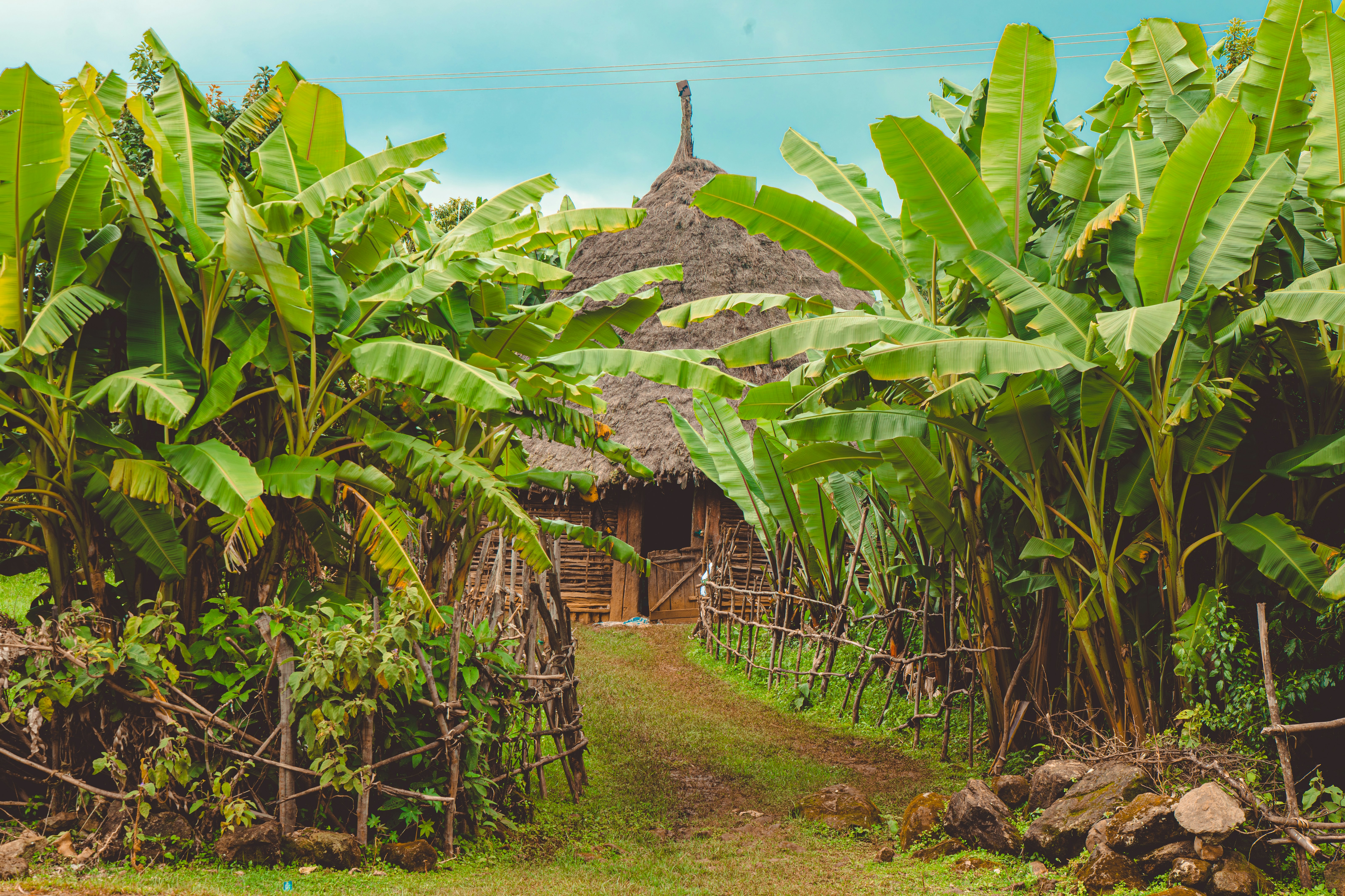 Photo by bemnetmesfin