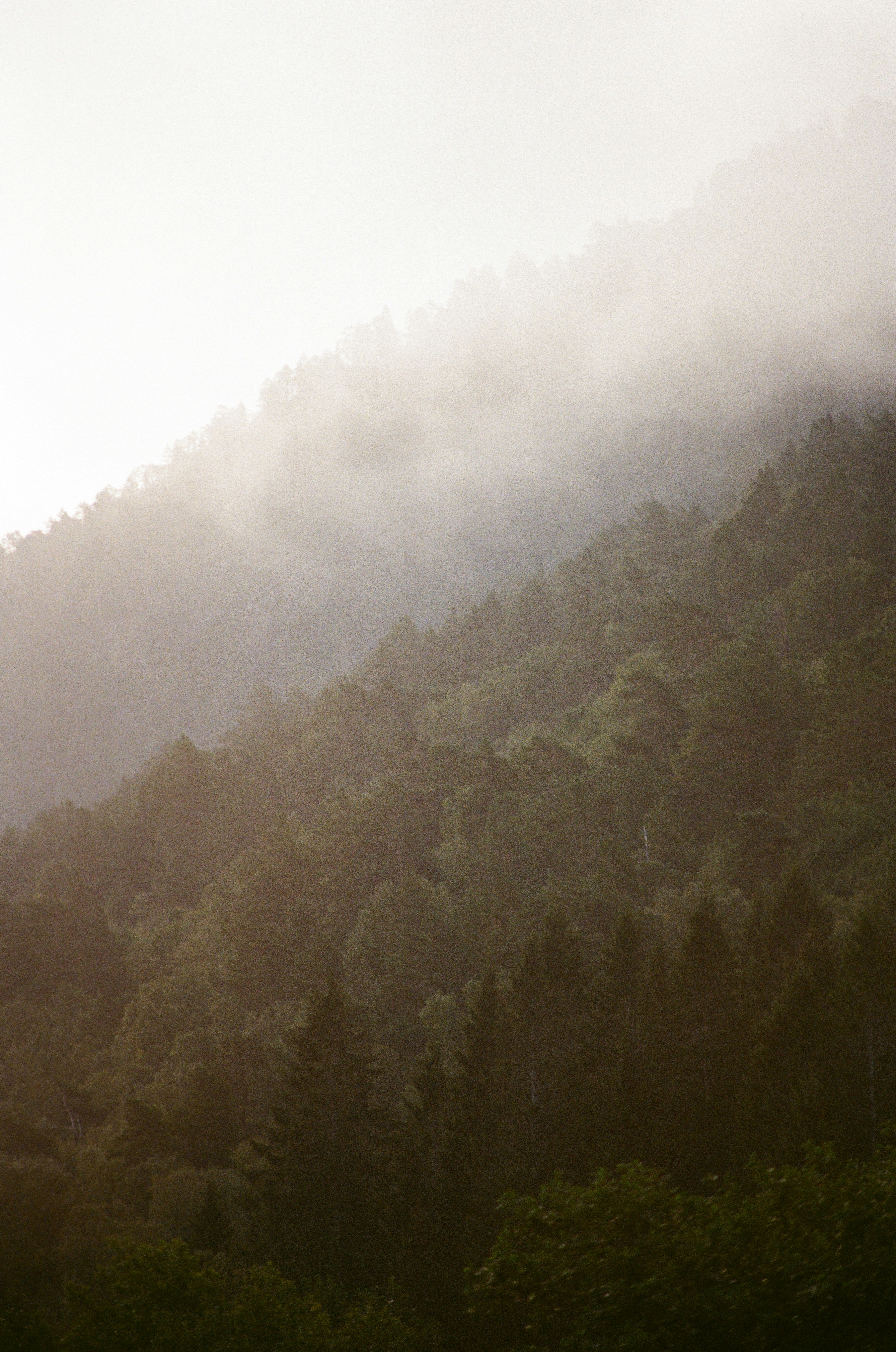 Photo by bernhardbar