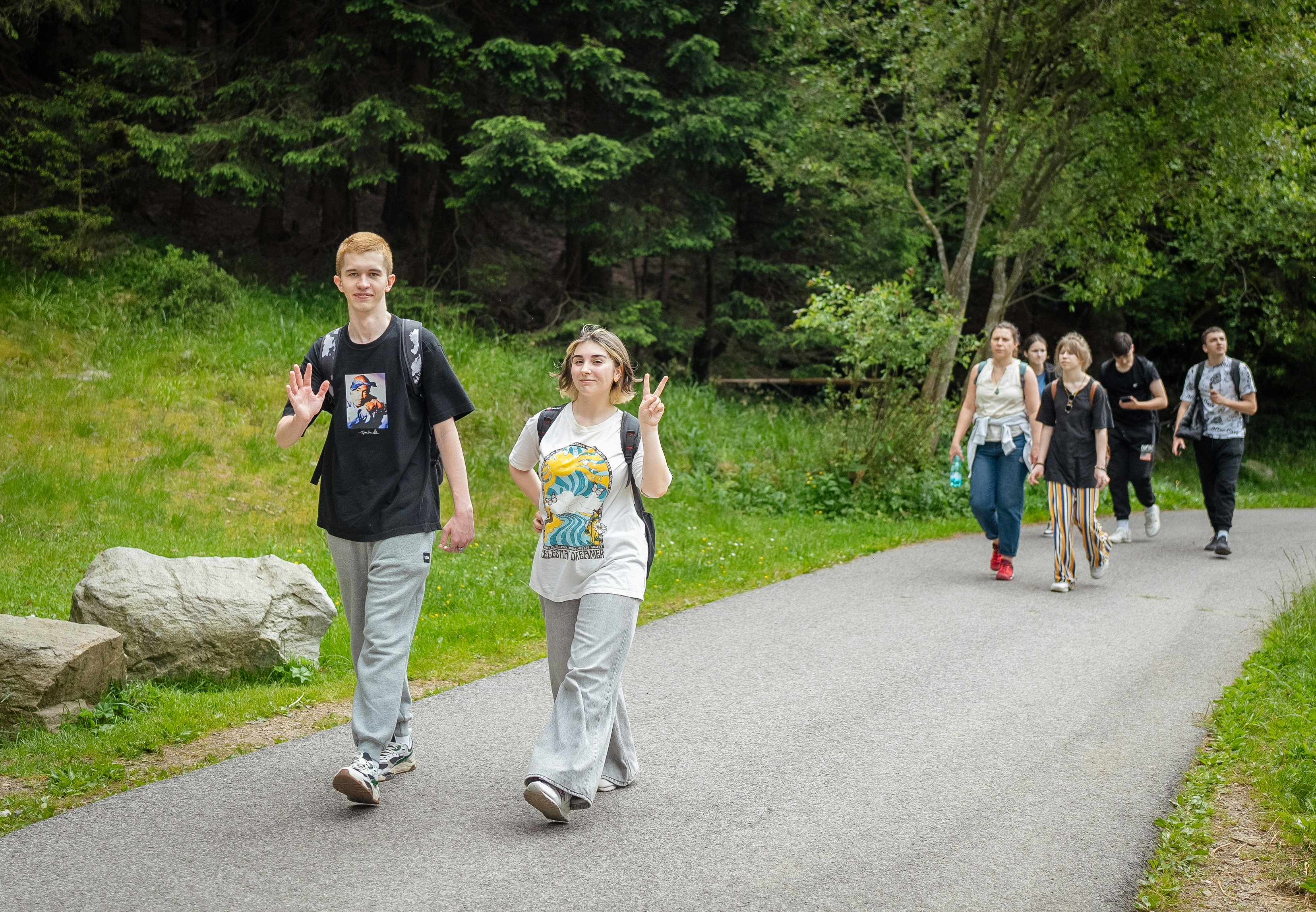 Group of people walking on a path in a forest