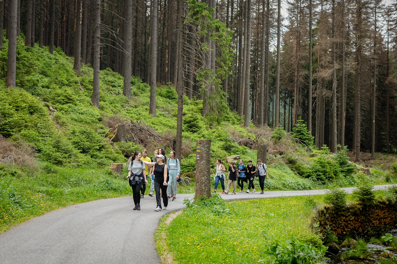 Eine kleine Gruppe, die gemeinsam auf einem Waldweg wandert