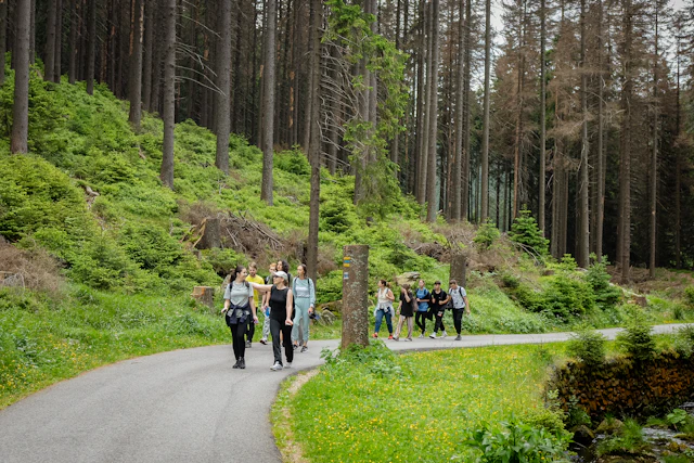 A small group walking together along a forest path