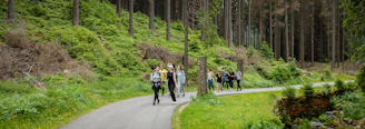 Group of people riding scooters on a forest path