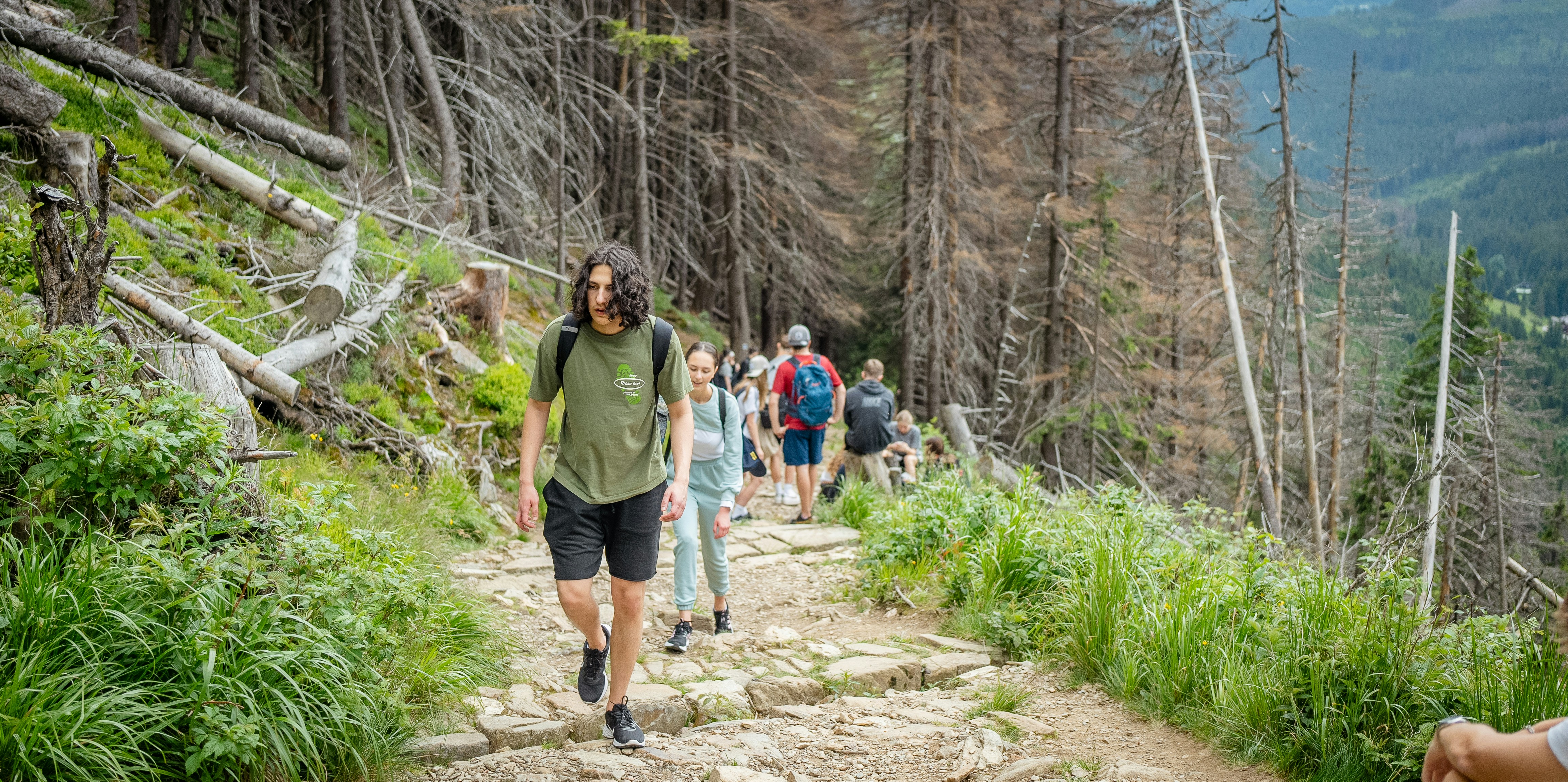 10 Trekking Fitness Programs to Improve Trail Confidence