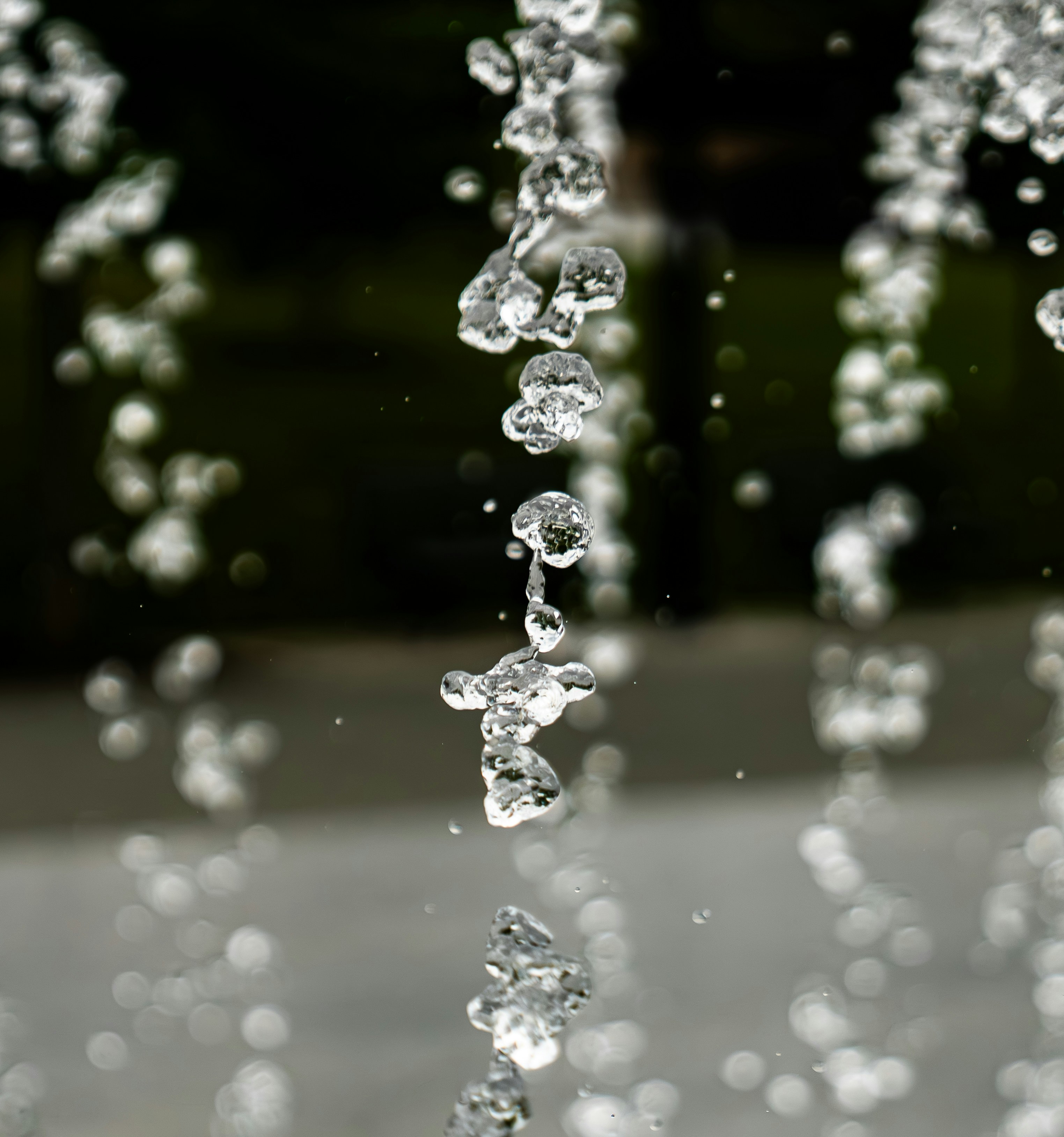 Photo by bokehblasts