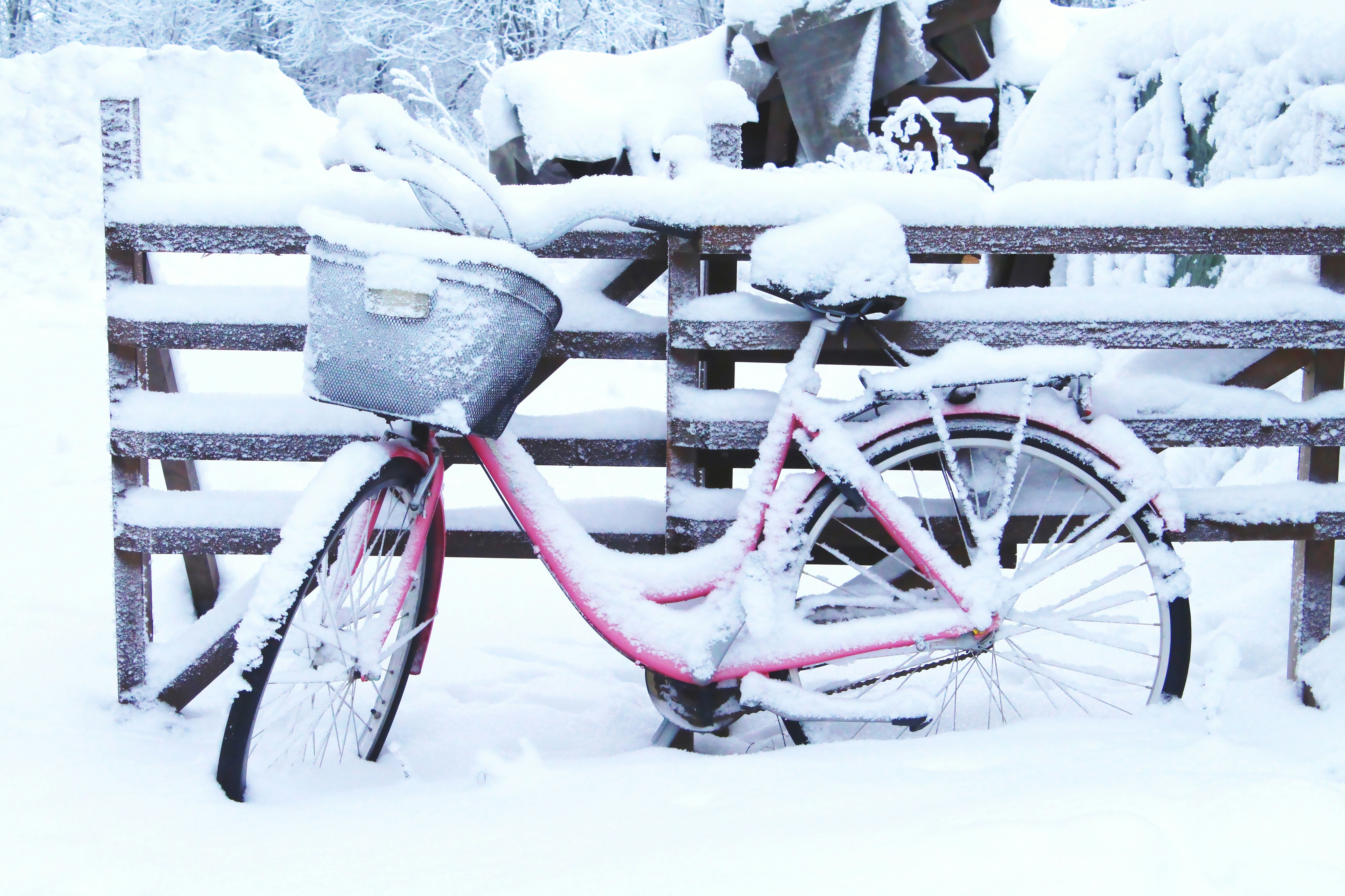 Photo by polarmermaid