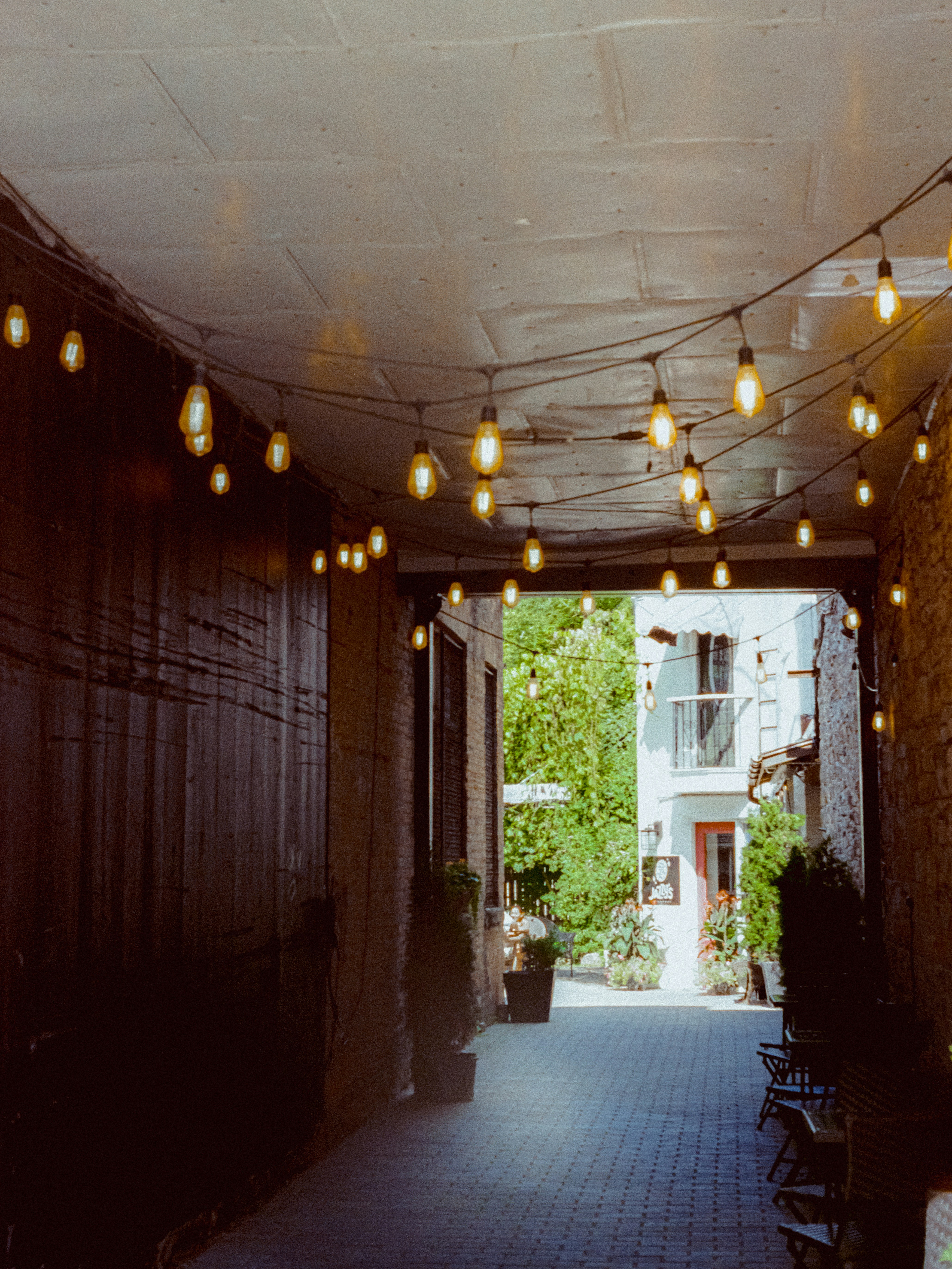 Eine Außenstraße, die bei Einbruch der Dämmerung von Lichterketten erleuchtet wird.