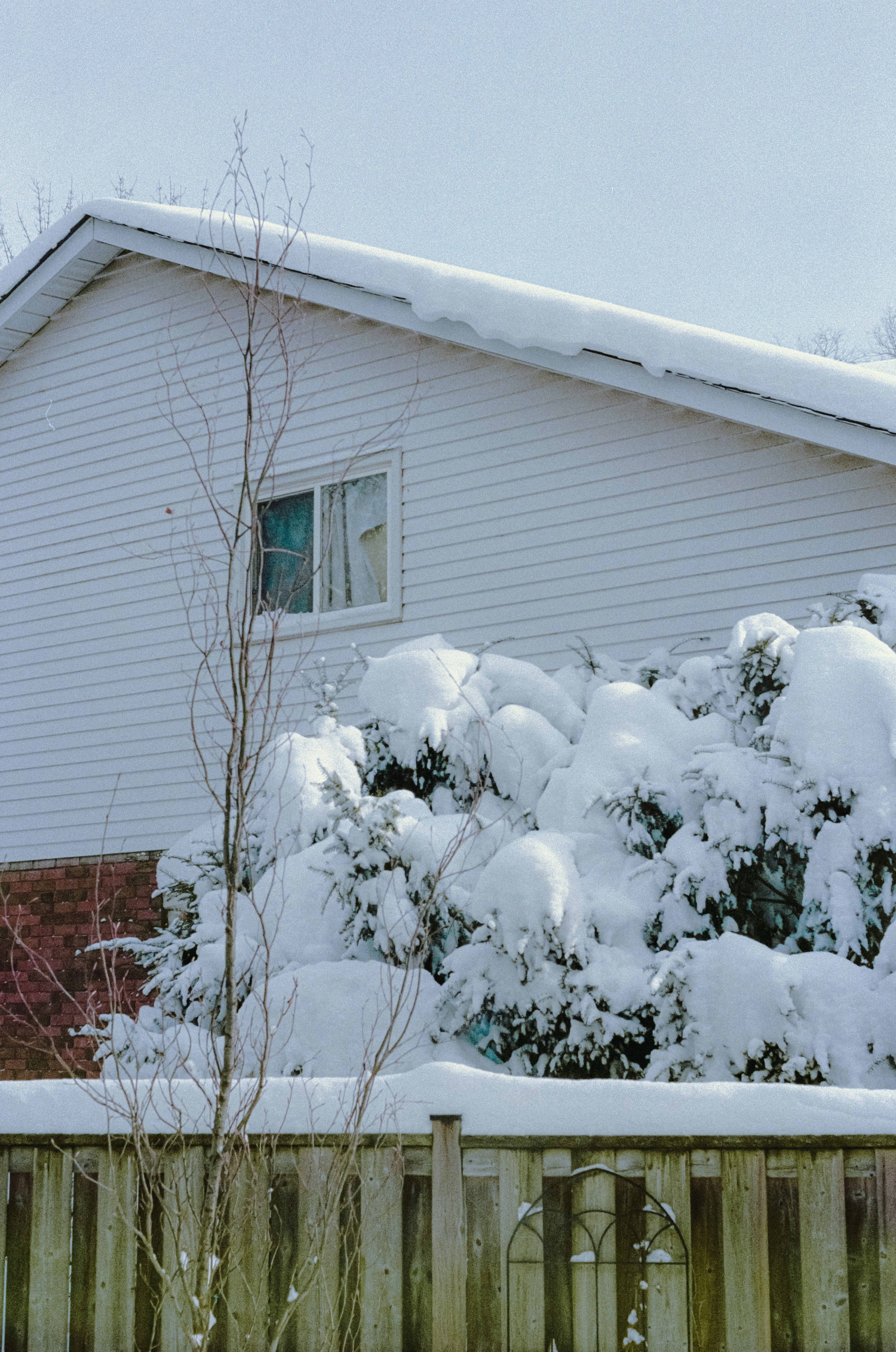 Photo by linusbelanger