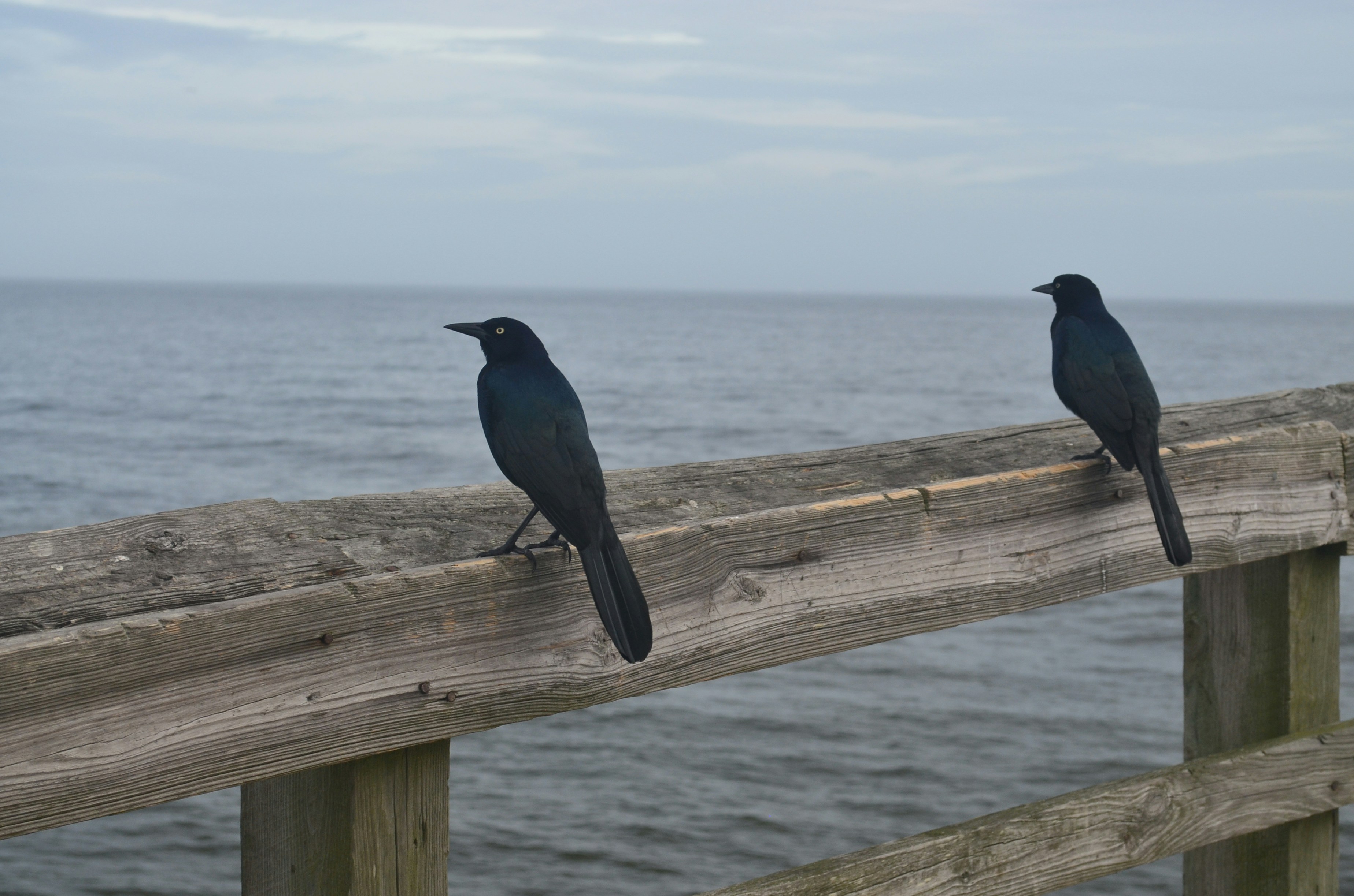South Carolina