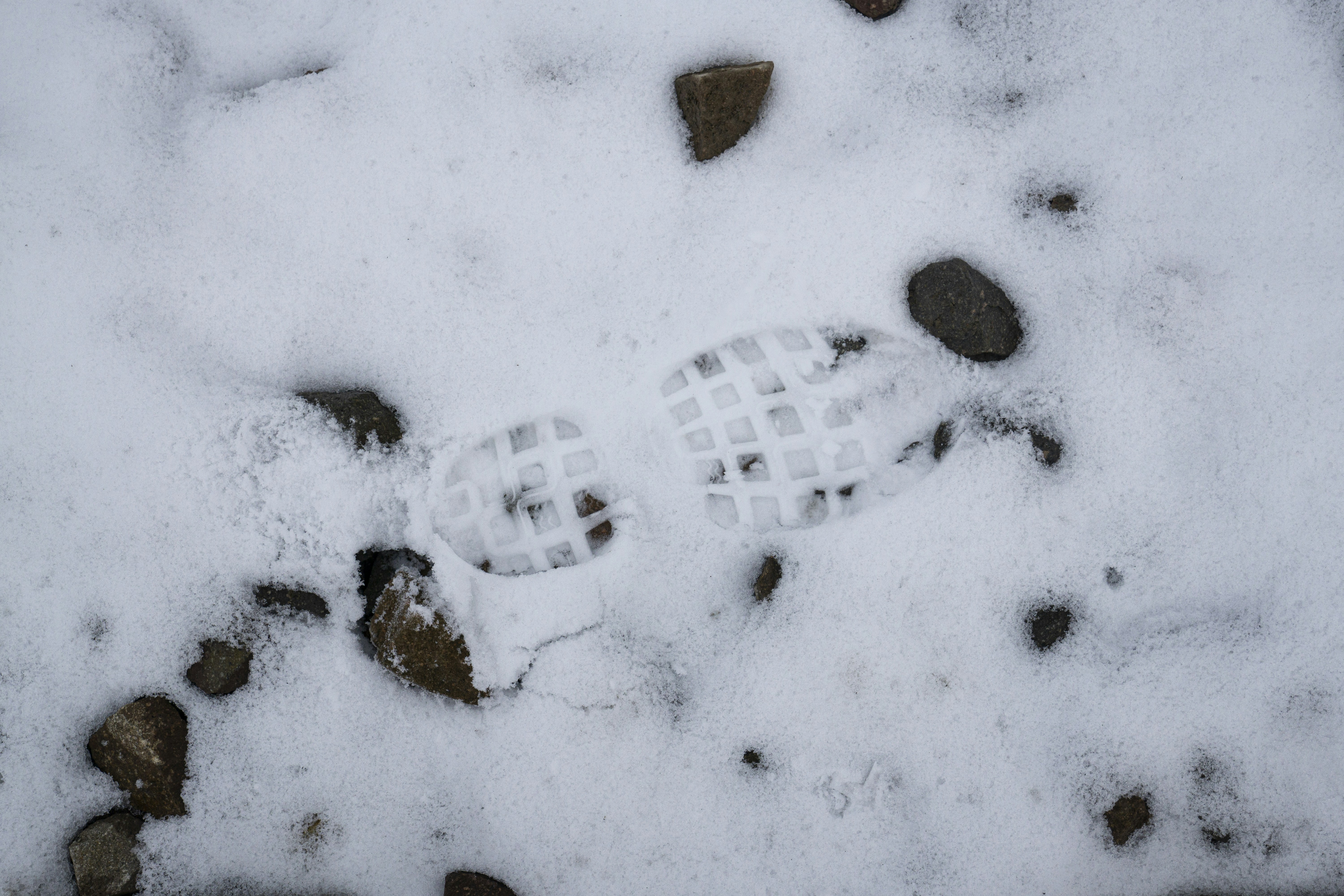 Footprints in the snow with rocks.