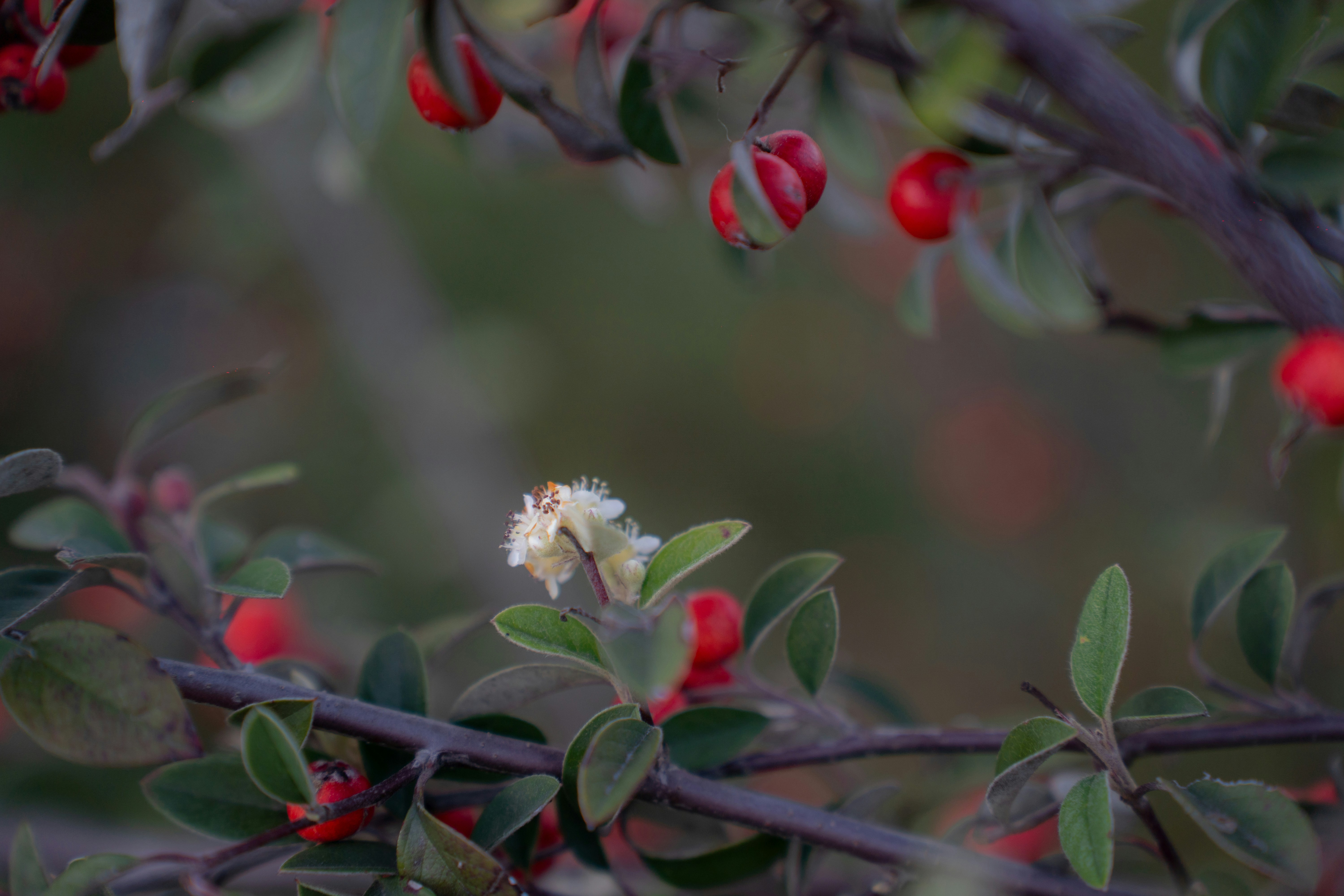 Photo by alexa_filmvibes