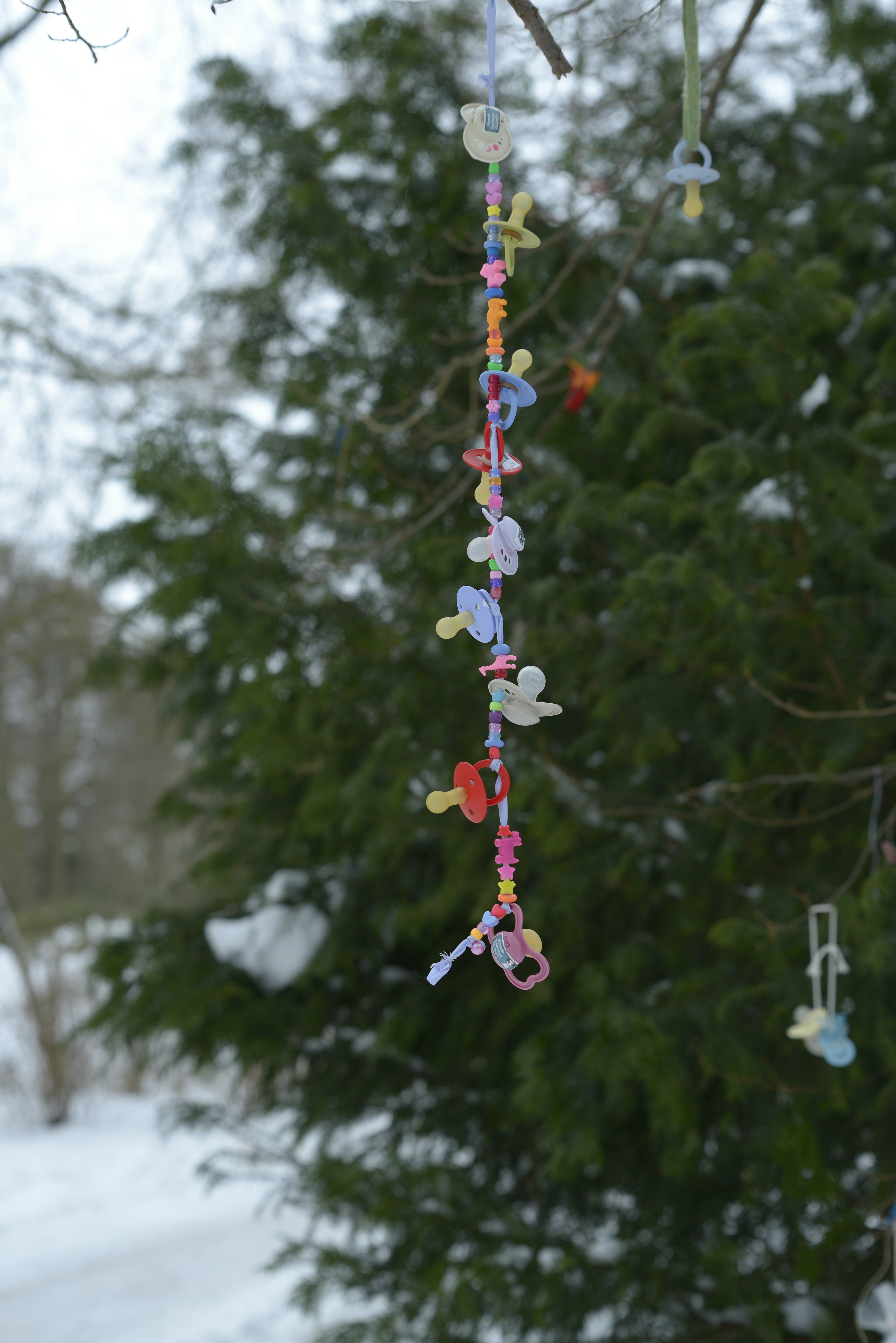Bunte Schnuller, die an einem Baum zusammenhängen