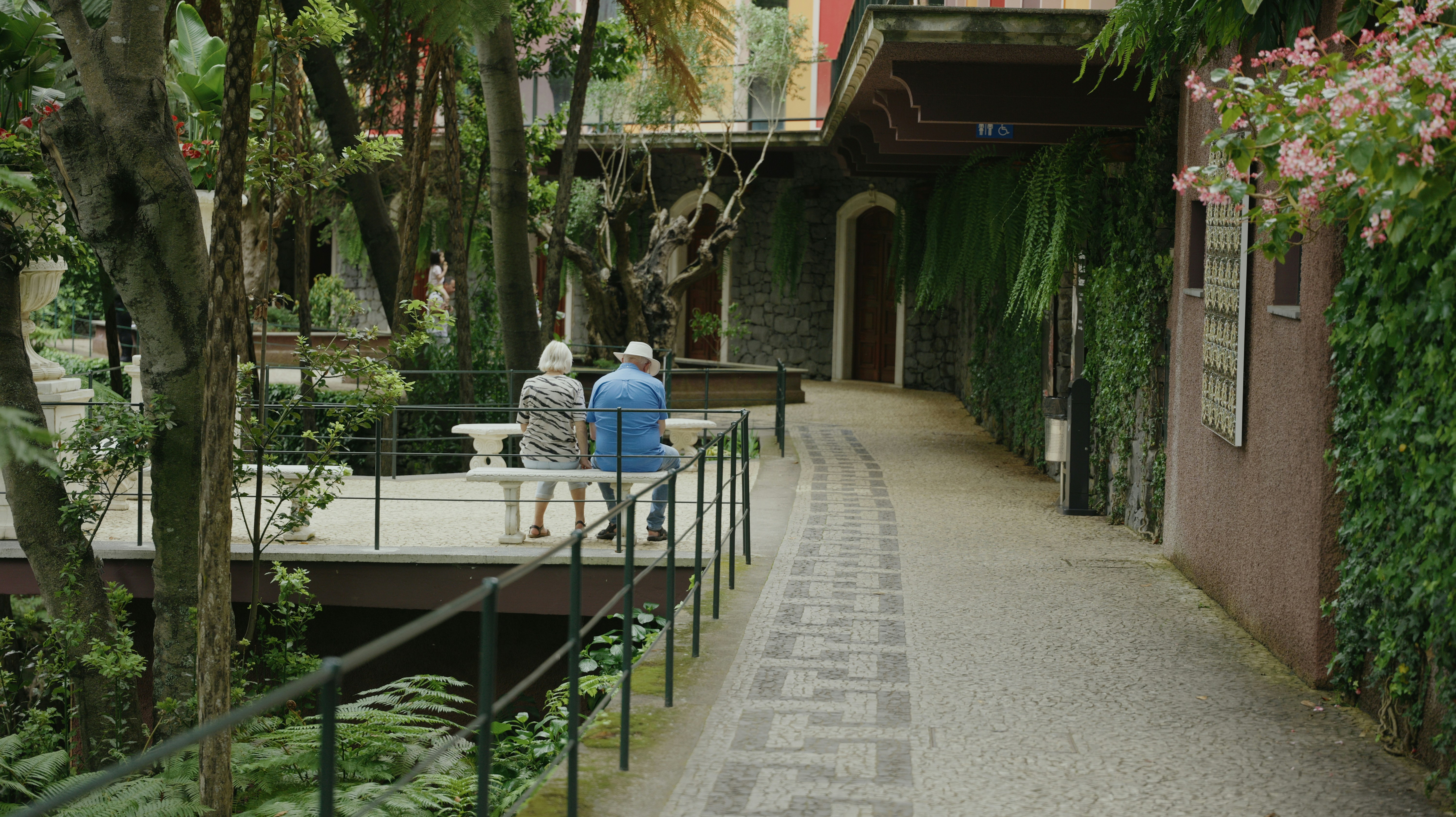 Elderly couple sitting on a bench in a garden