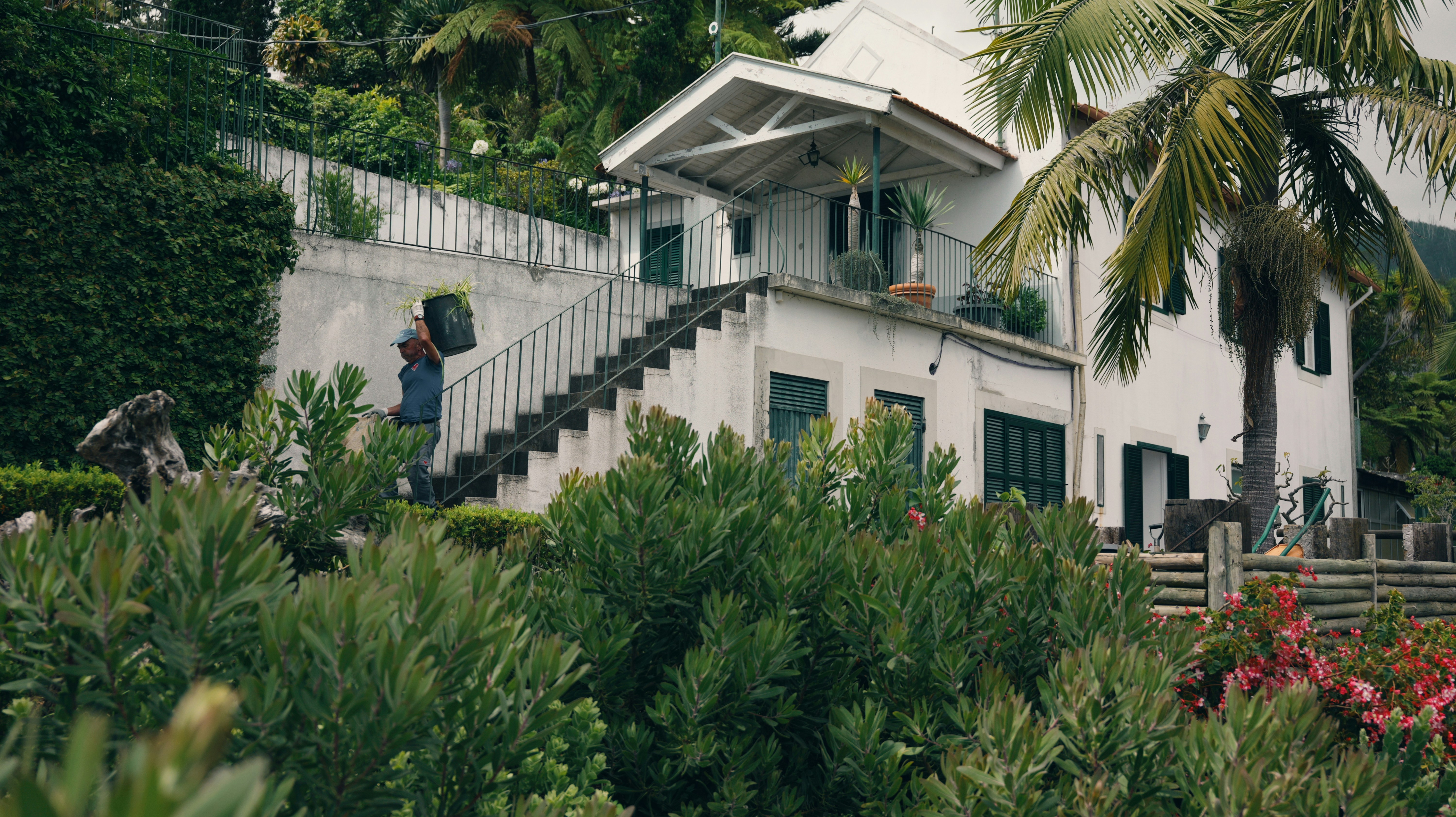 Man carrying a box up stairs to white house.