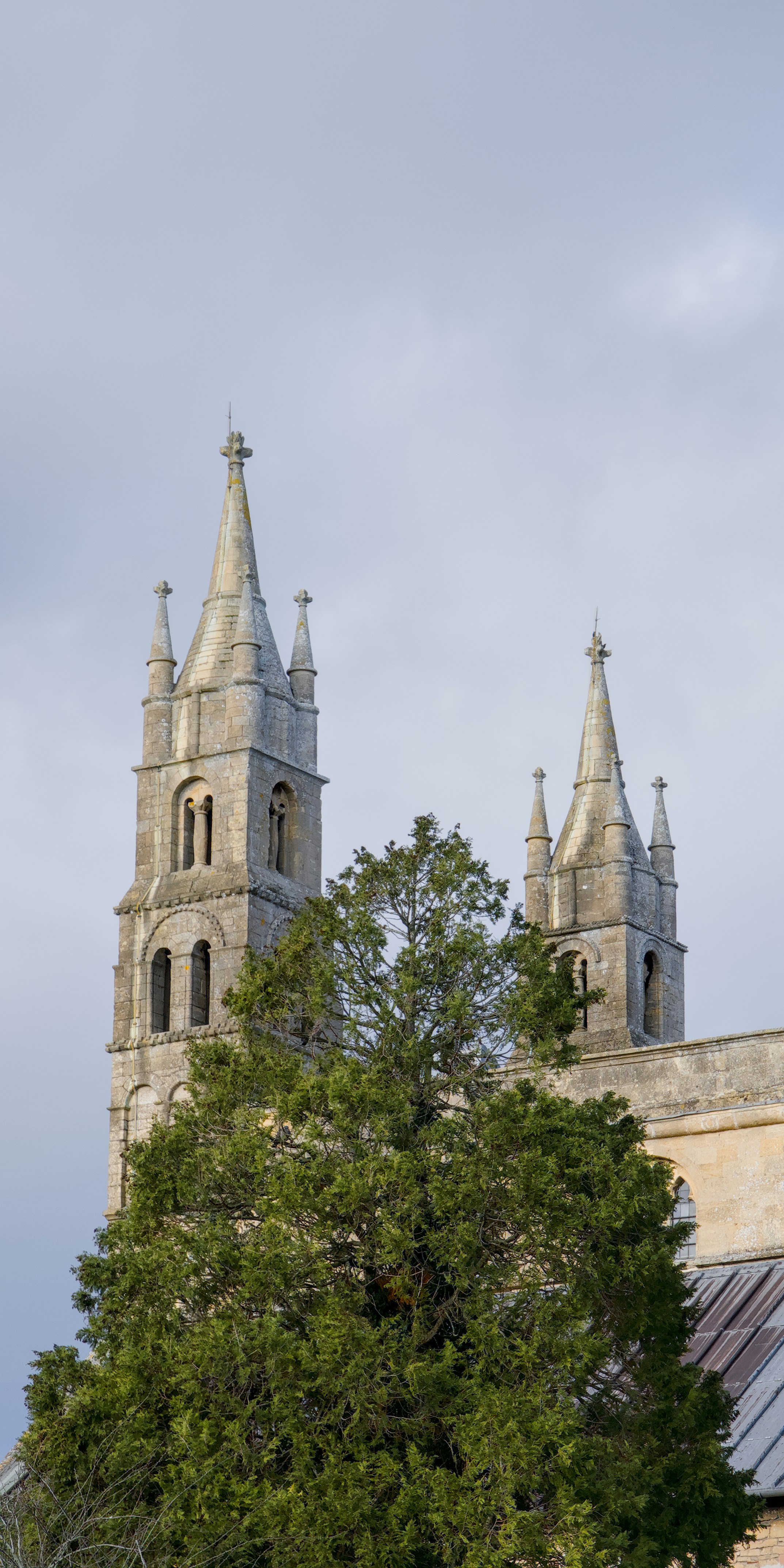 Photo by dotdavisphotography