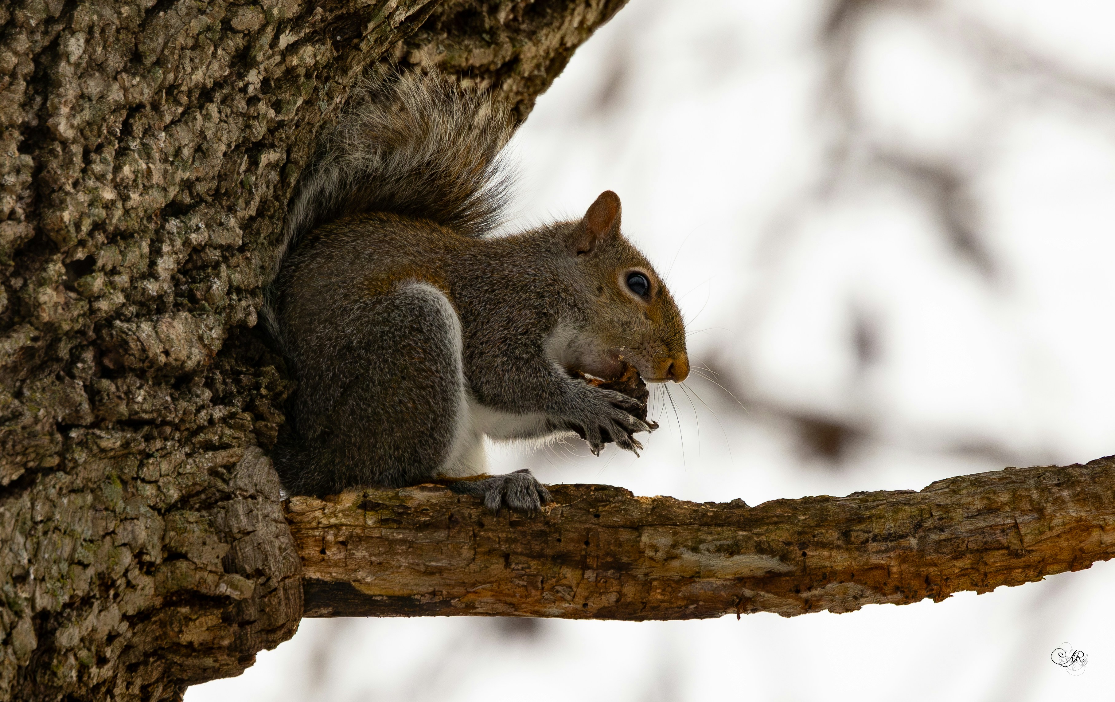 Photo by grimnir35mm