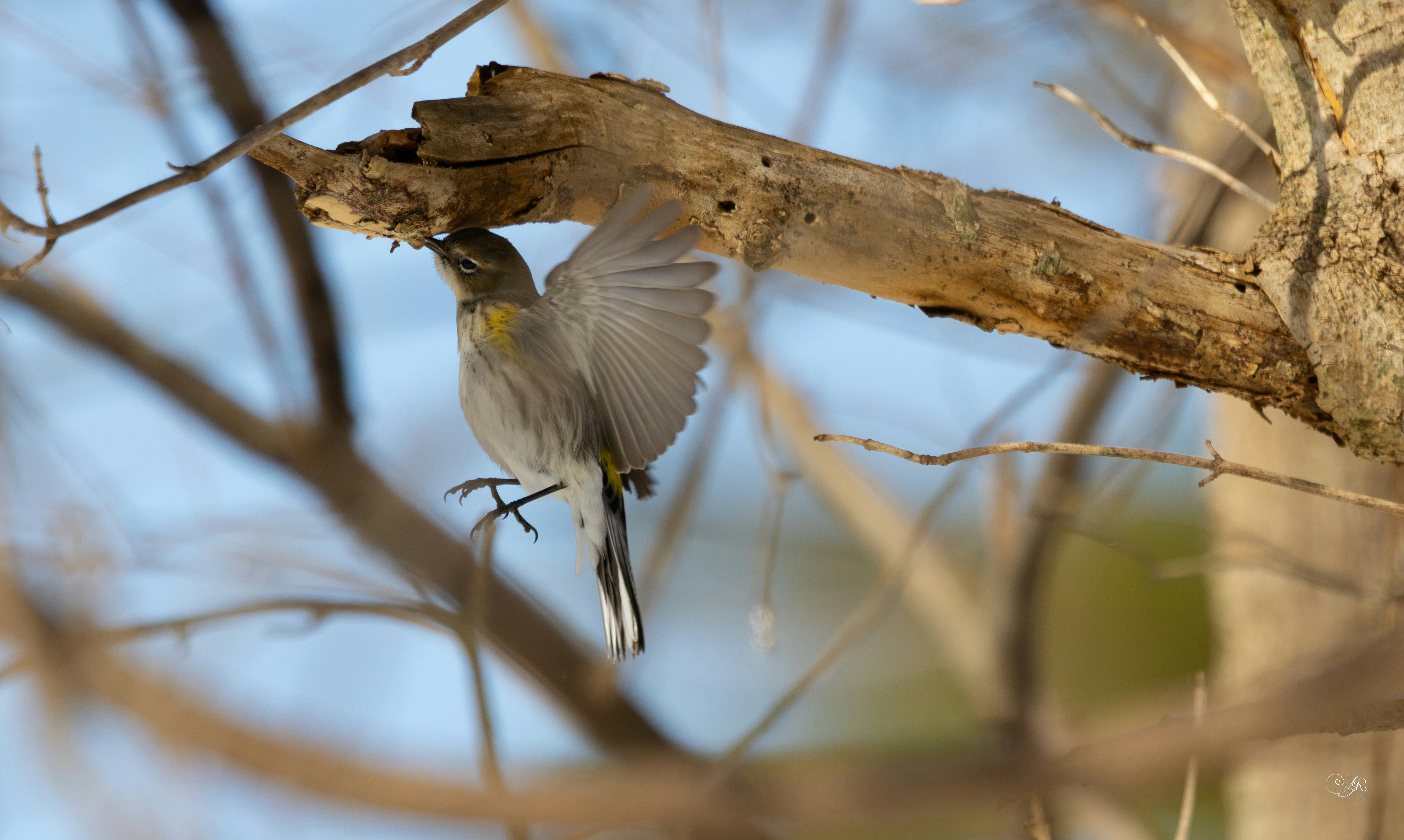 Photo by grimnir35mm