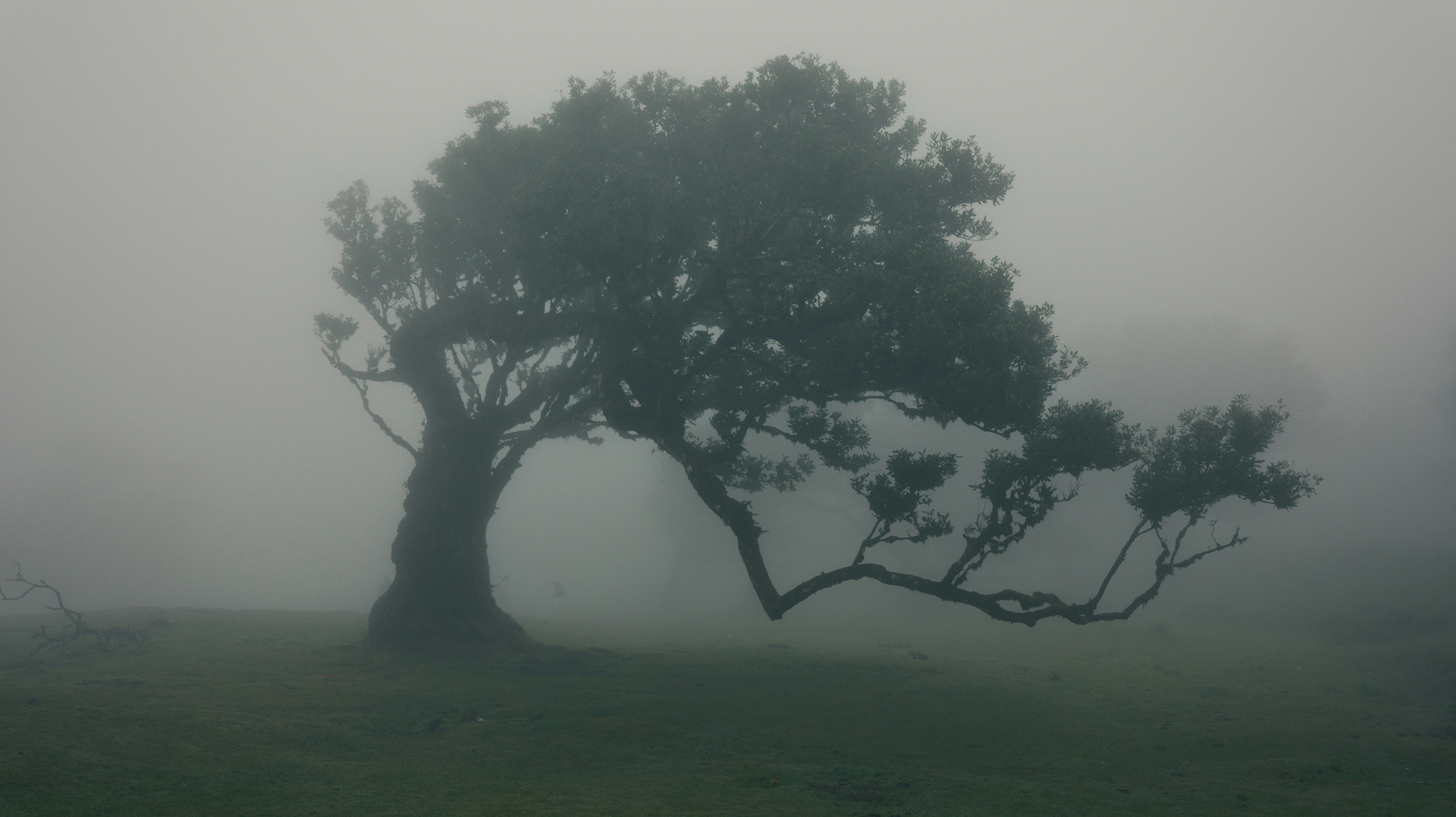 Photo by kolodziejczakm