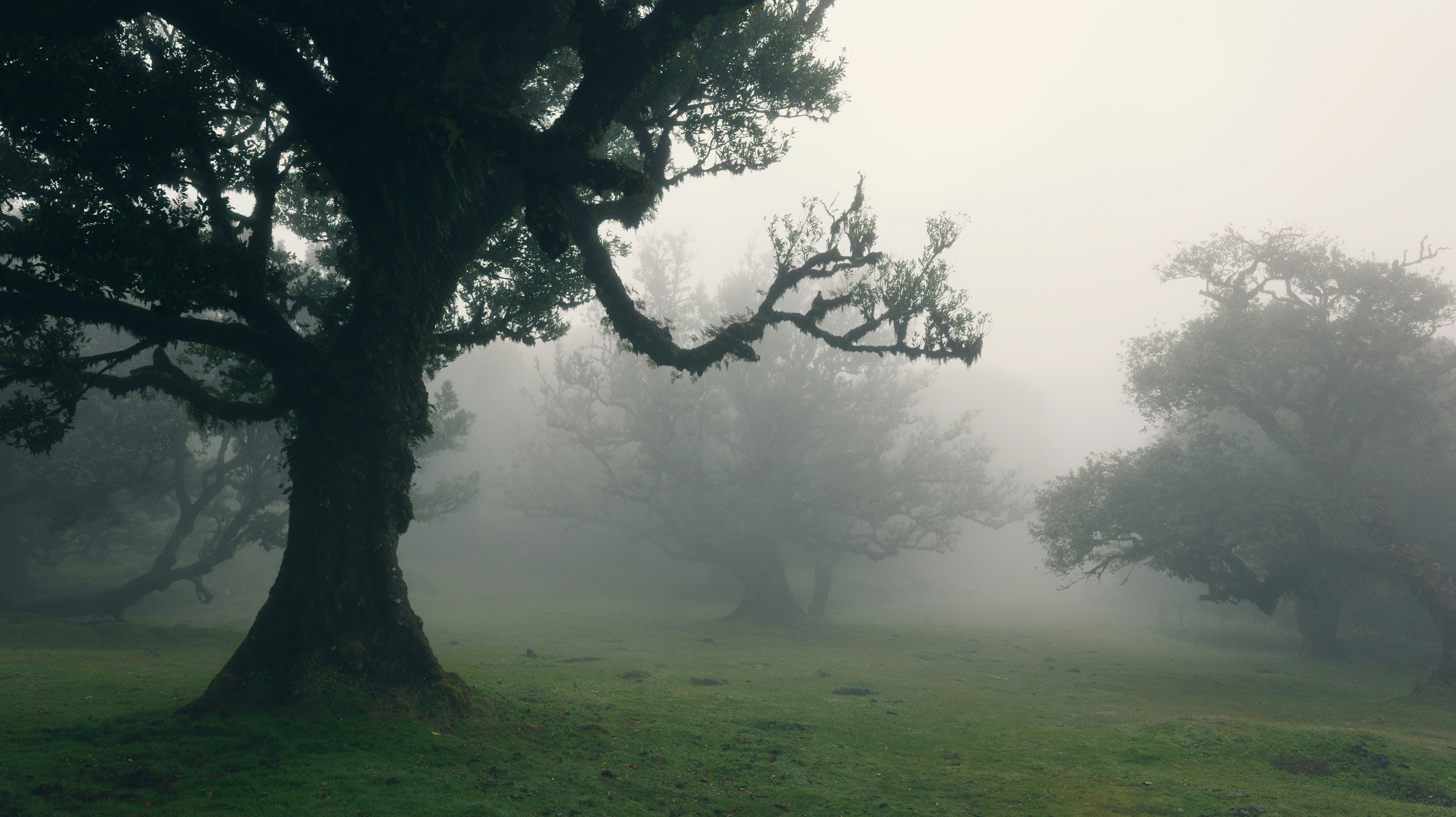 Photo by kolodziejczakm