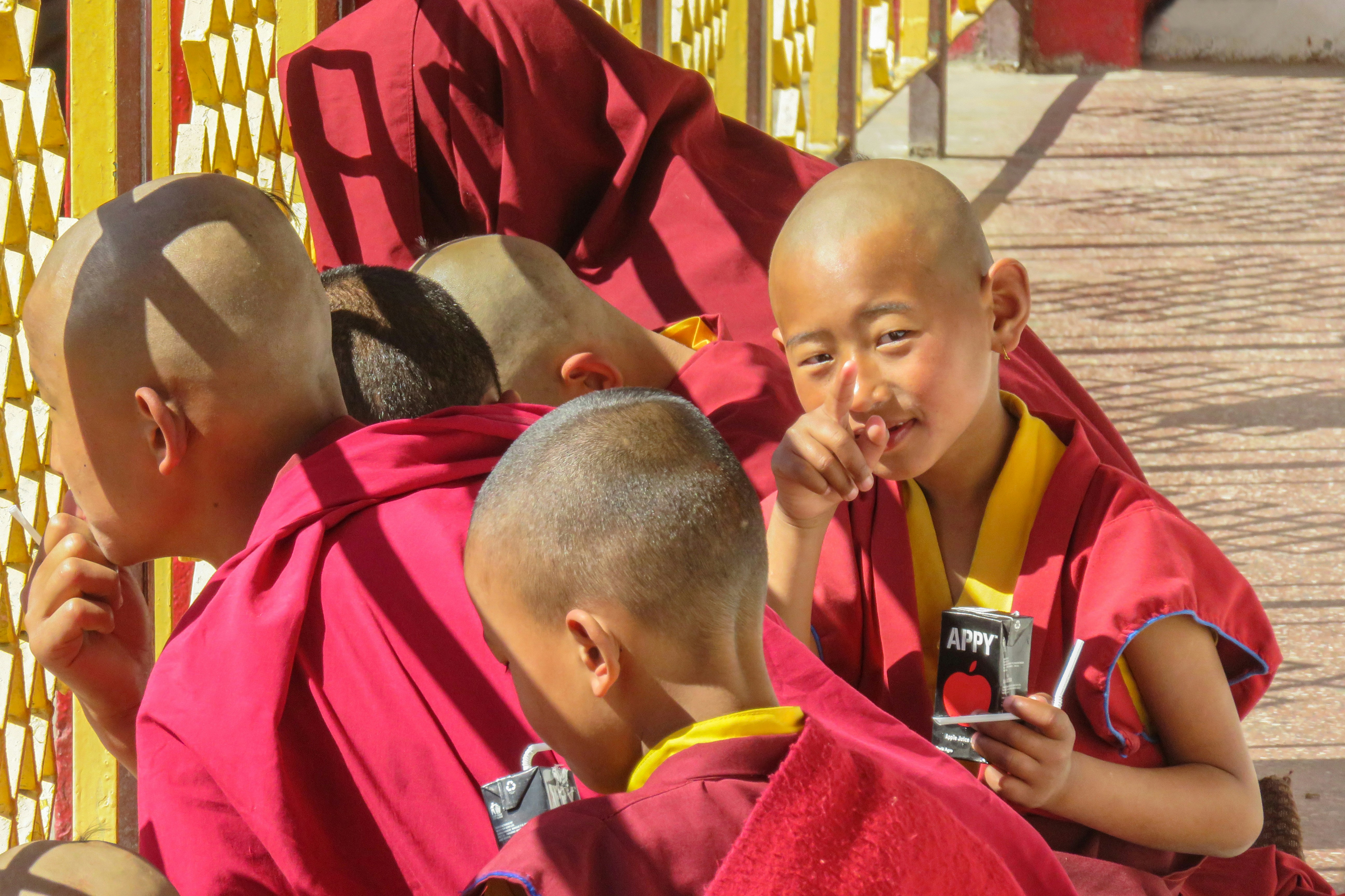 Photo by blog_region