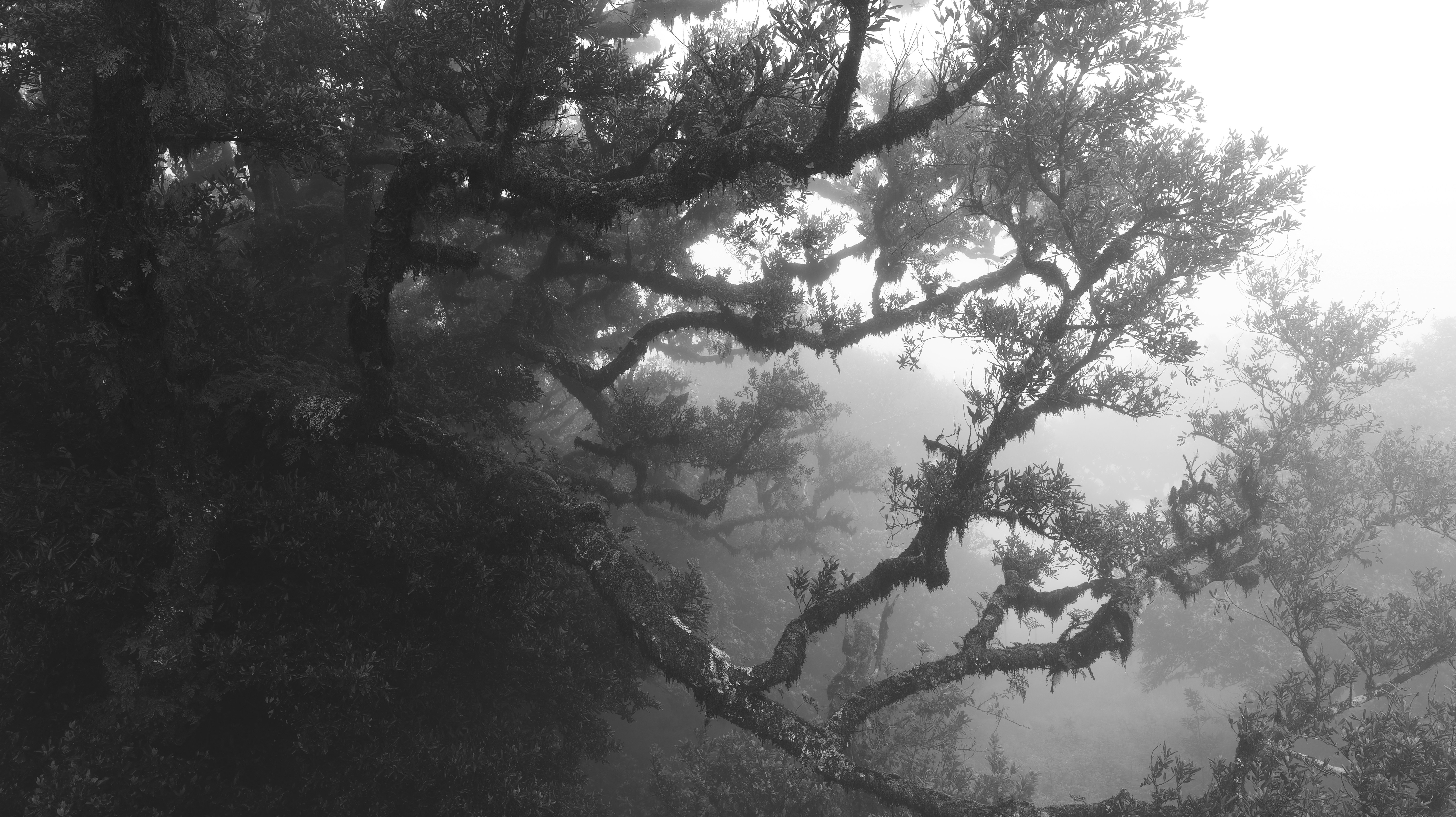 Photo by kolodziejczakm