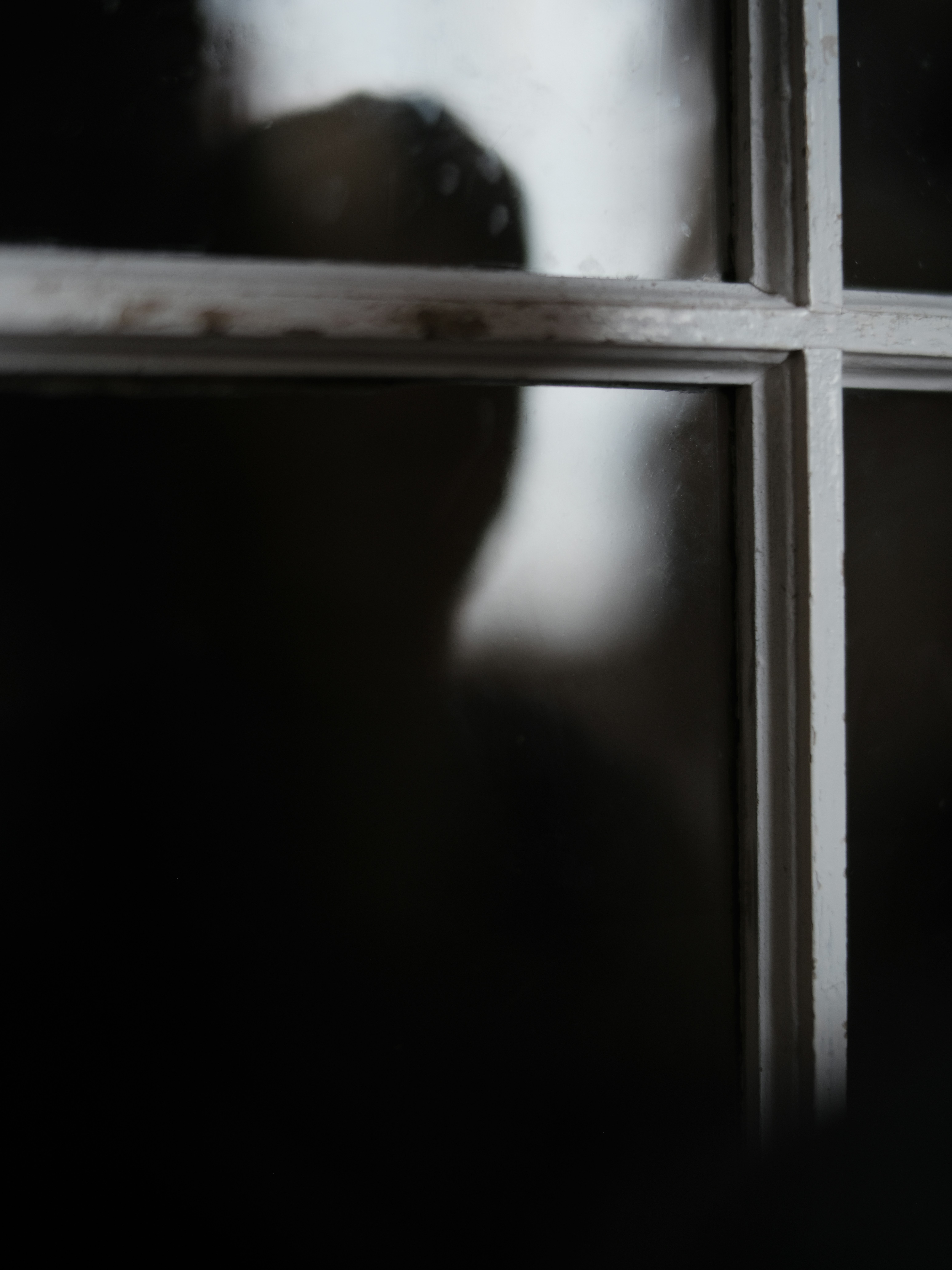 Photo by samueljeronimo