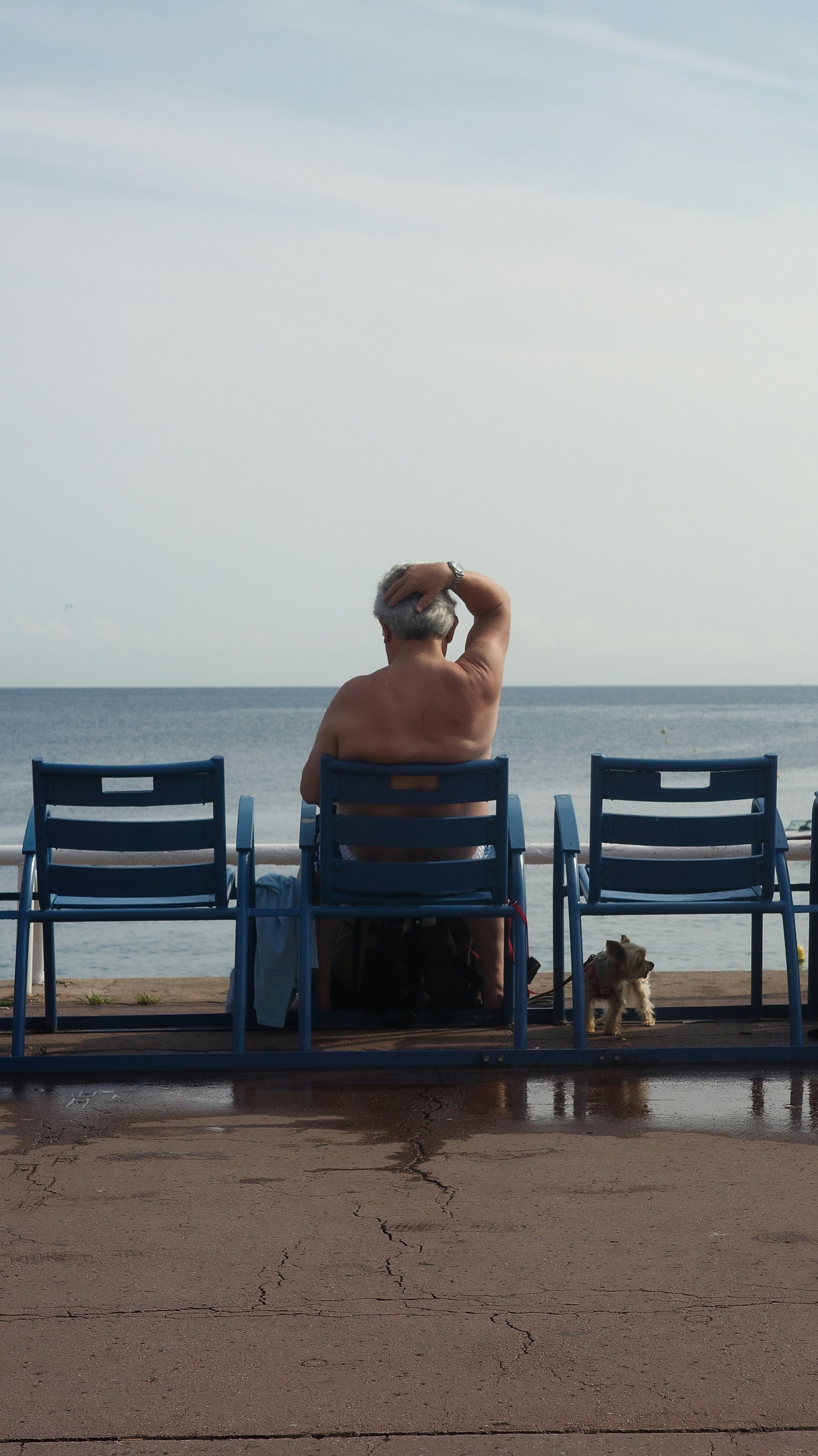 Man and dog sitting by the ocean