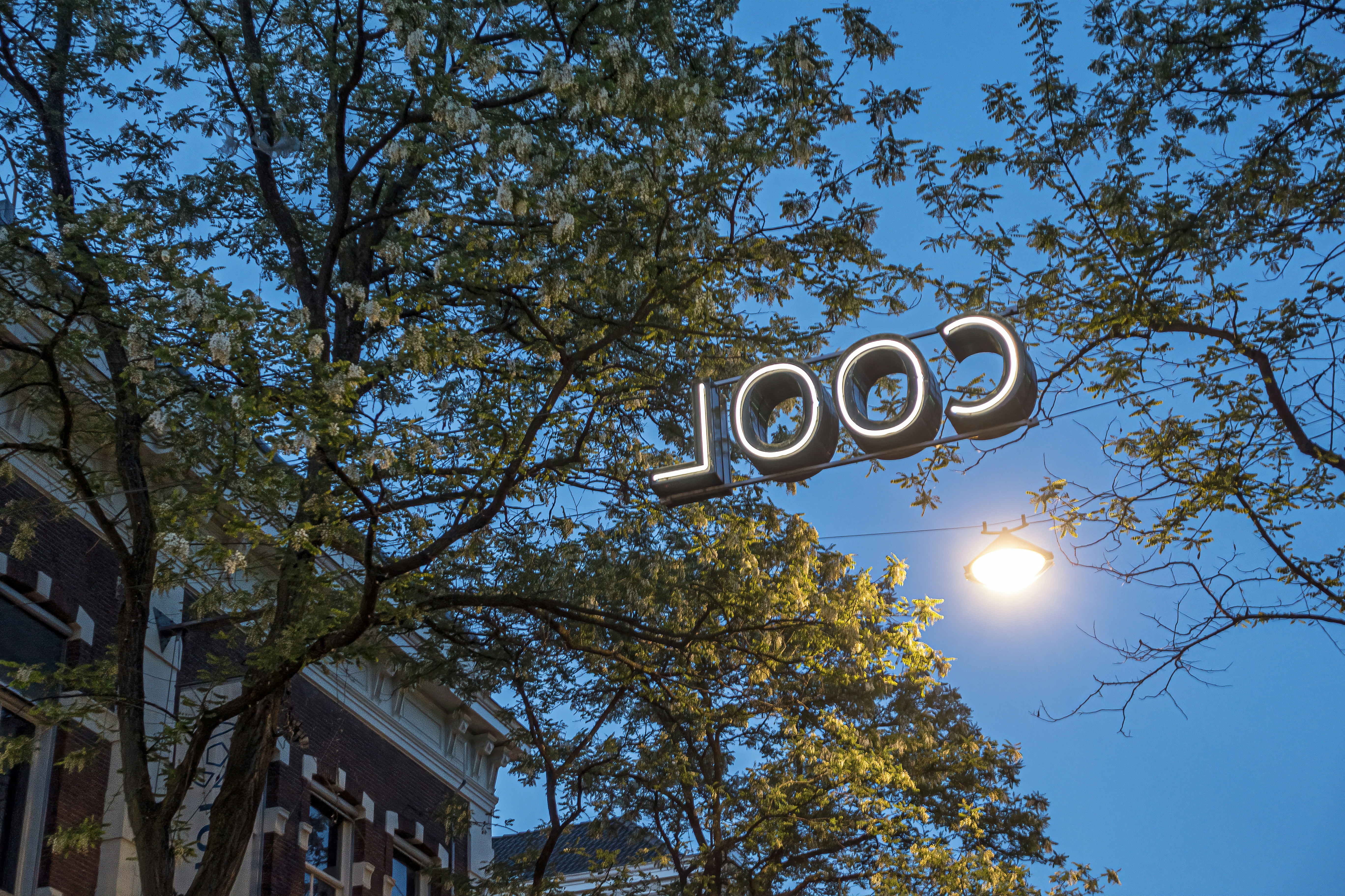 Neon sign reflects on wet street at night