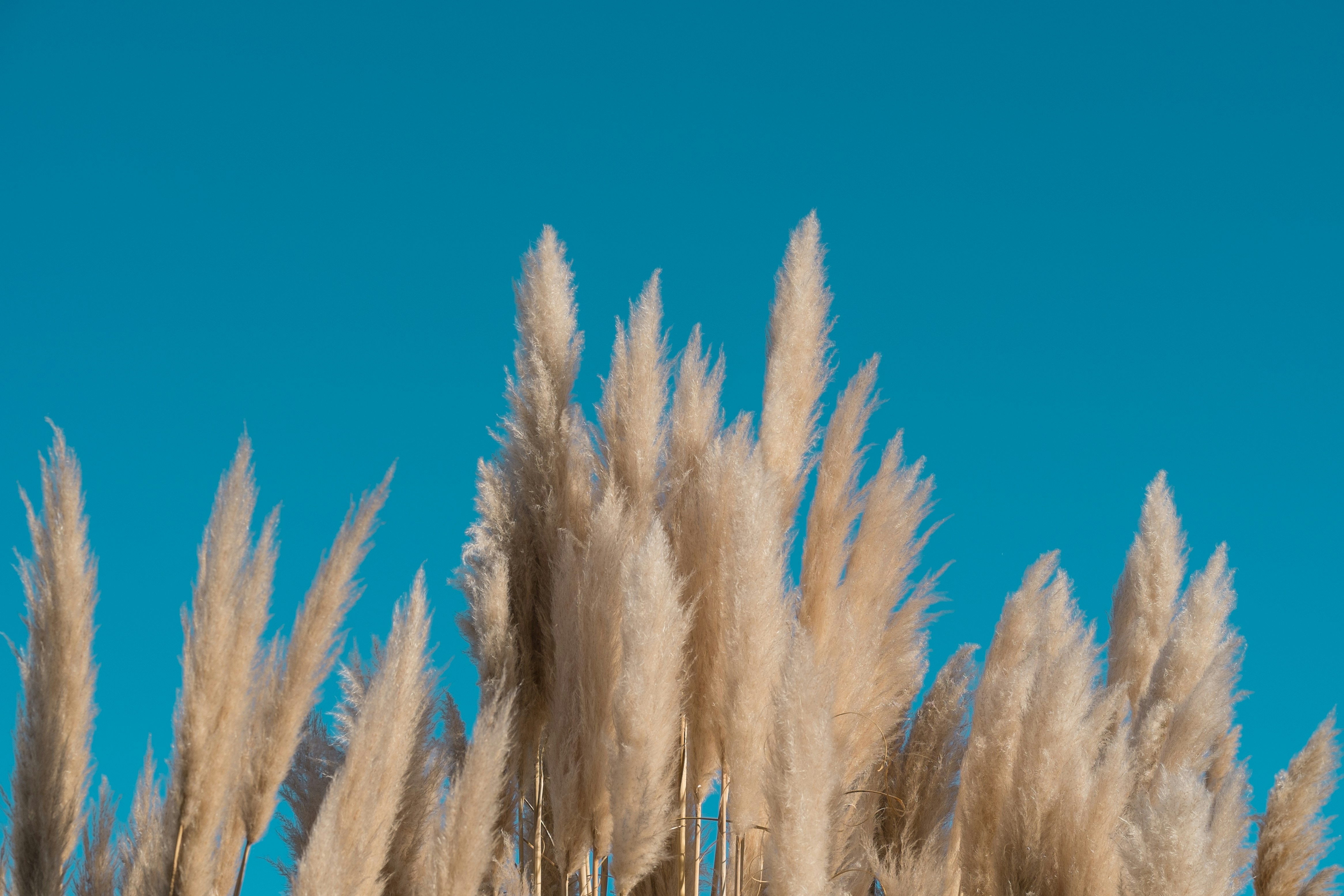 Photo by jastorfproductions