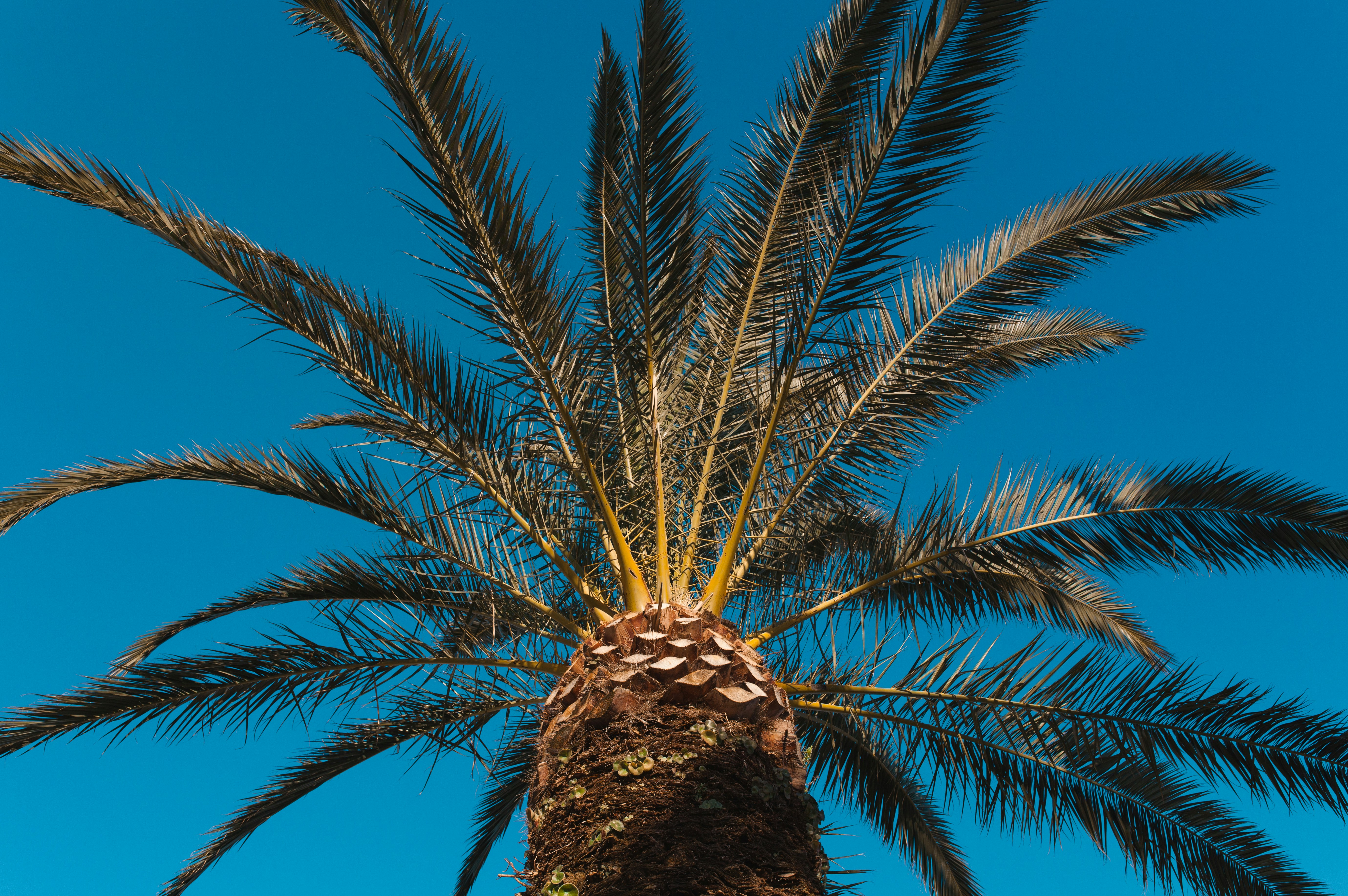 Photo by jastorfproductions