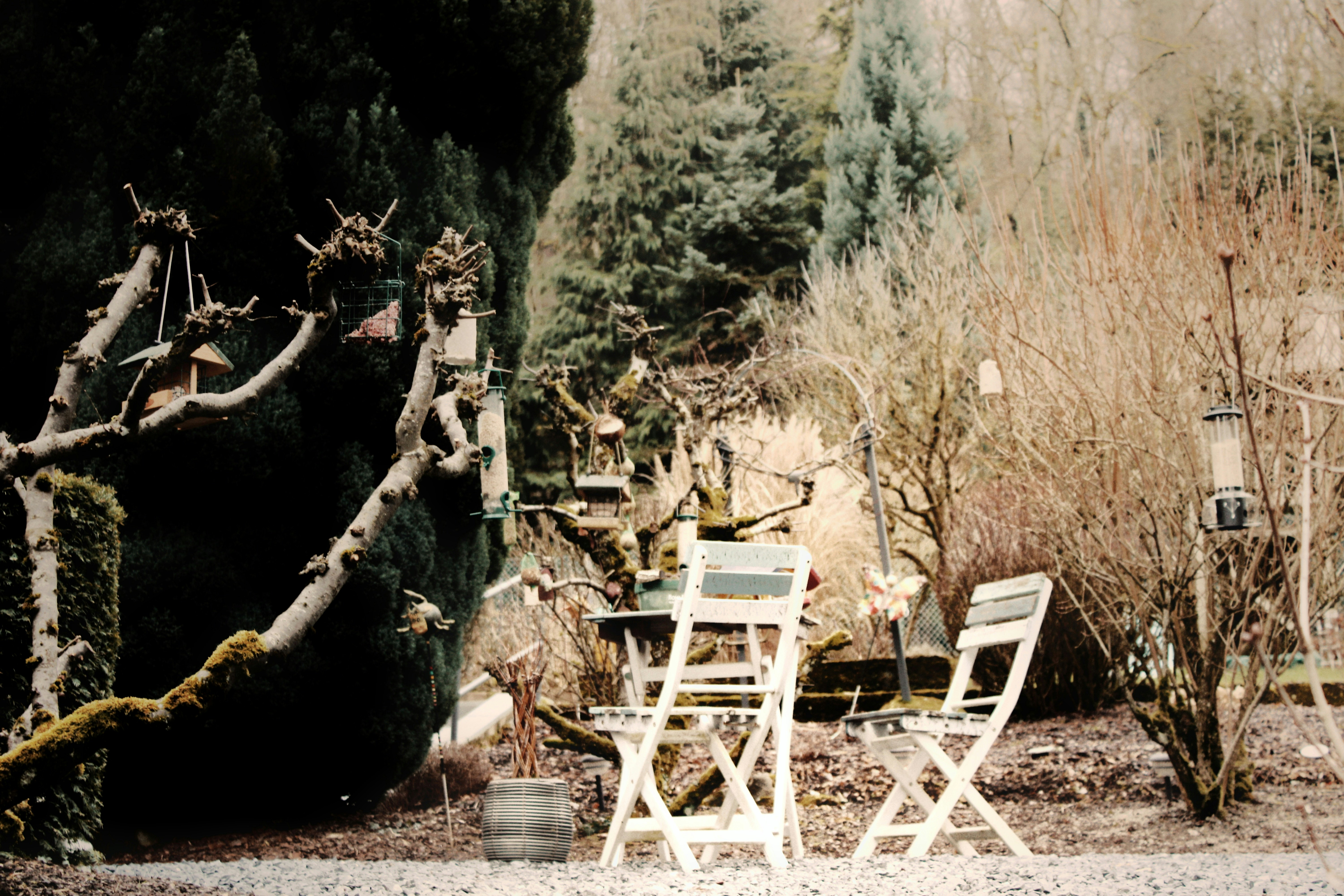 Two chairs and a table in a garden