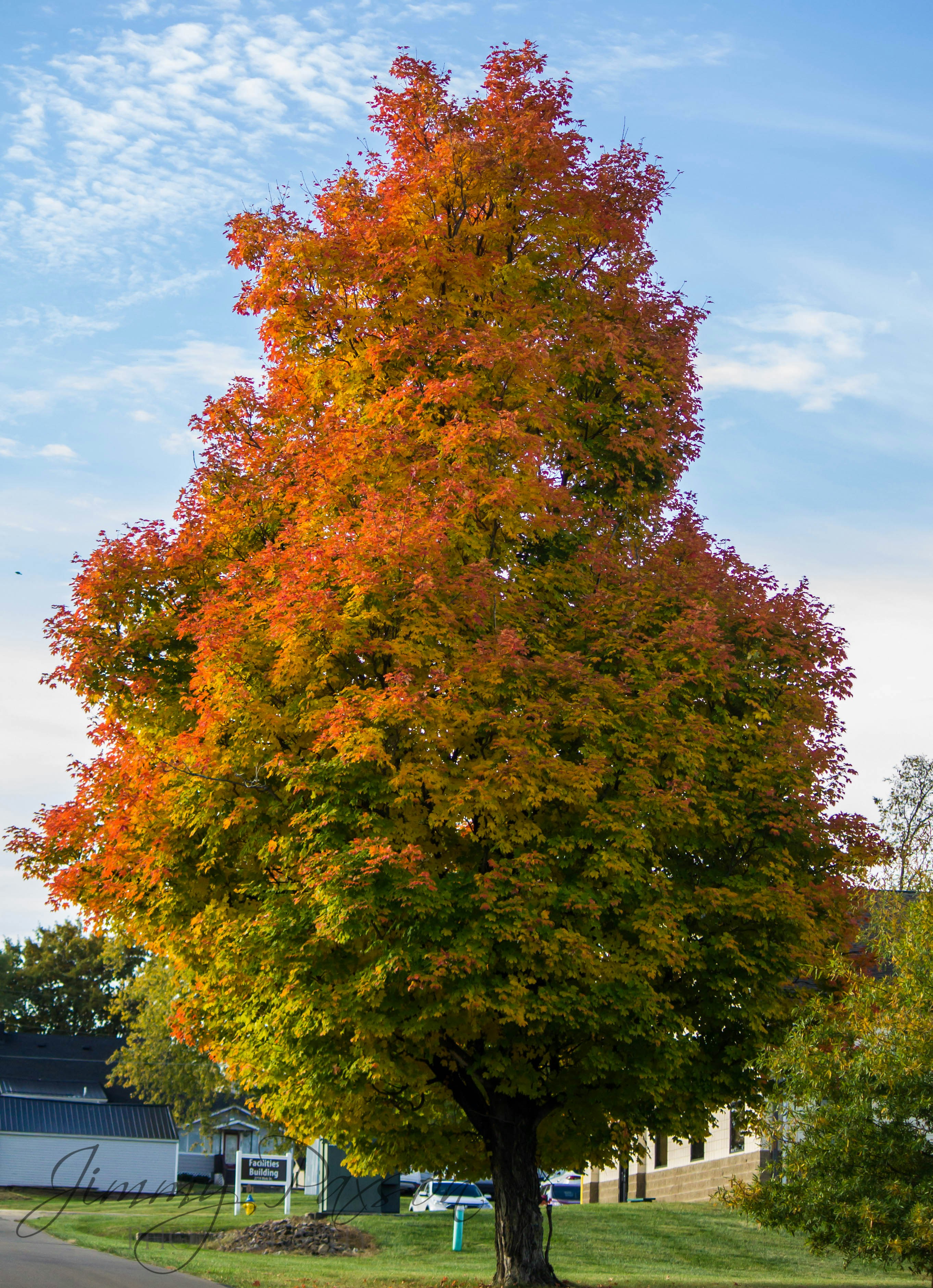 Photo by jimmypaxson