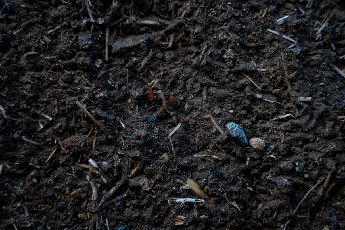 Topsoil delivery for landscaping and lawn projects in Cedar City UT