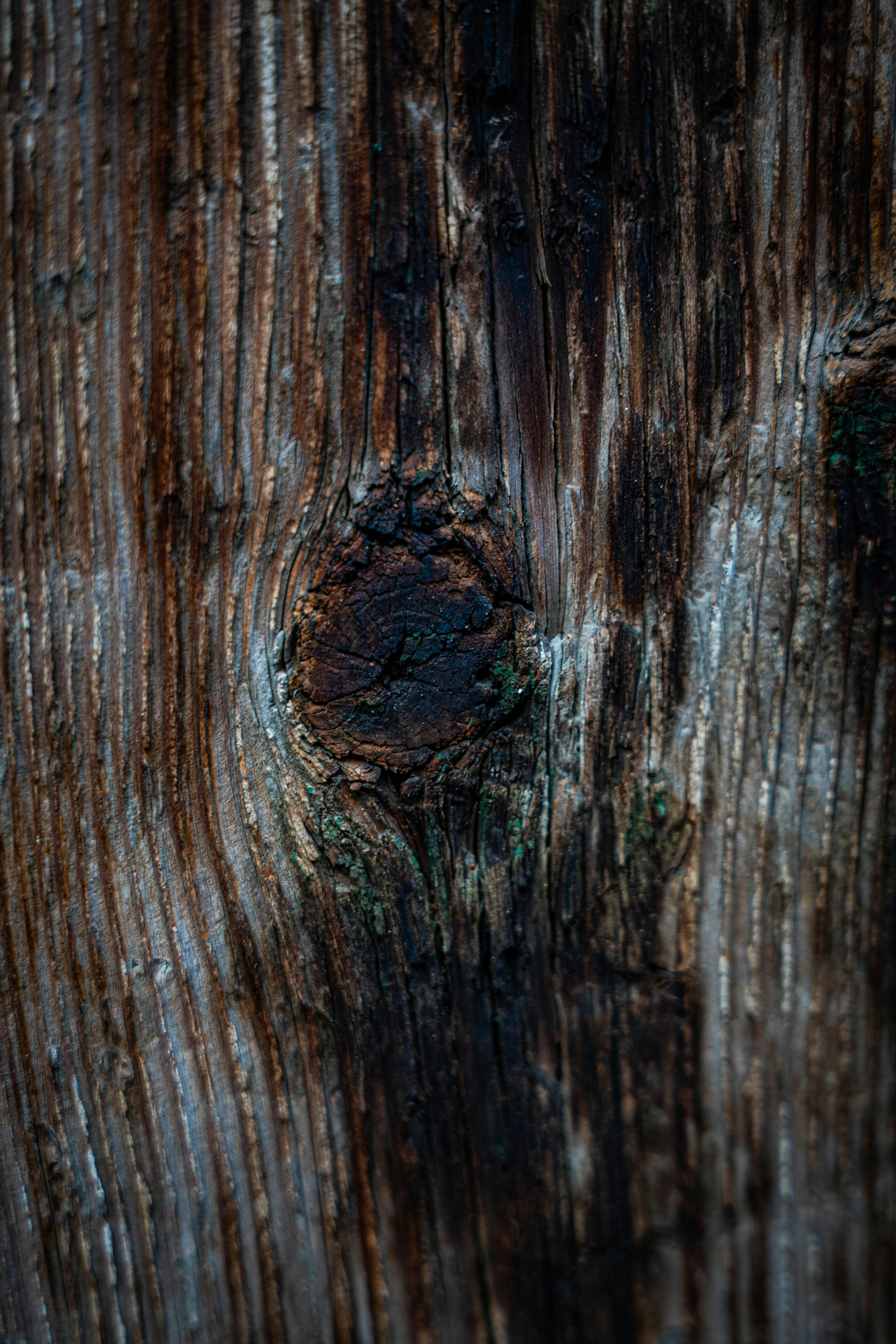 Photo by maviatlas