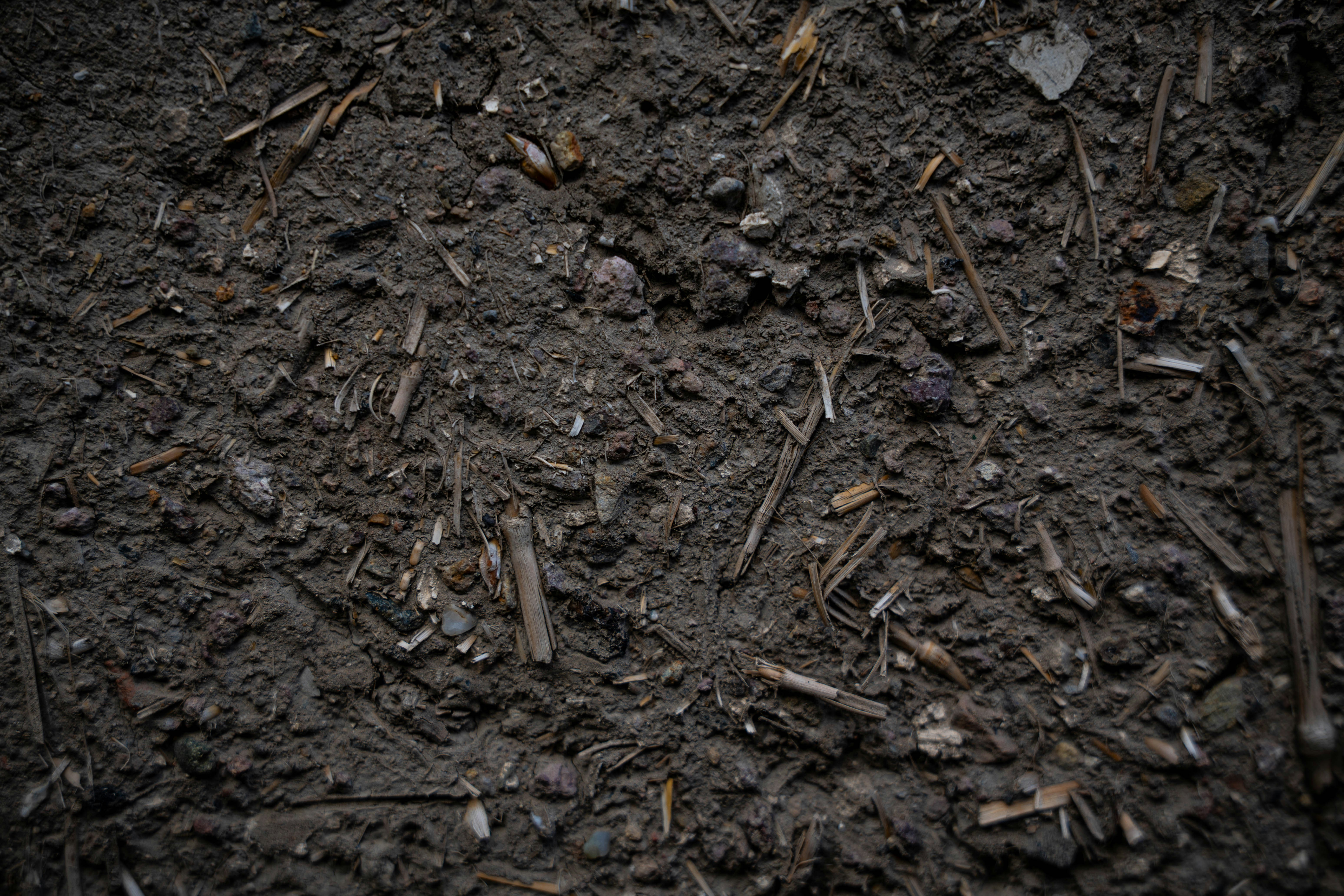 Close up of rich, dark loamy soil texture for containers - best soil for cucumbers in pots