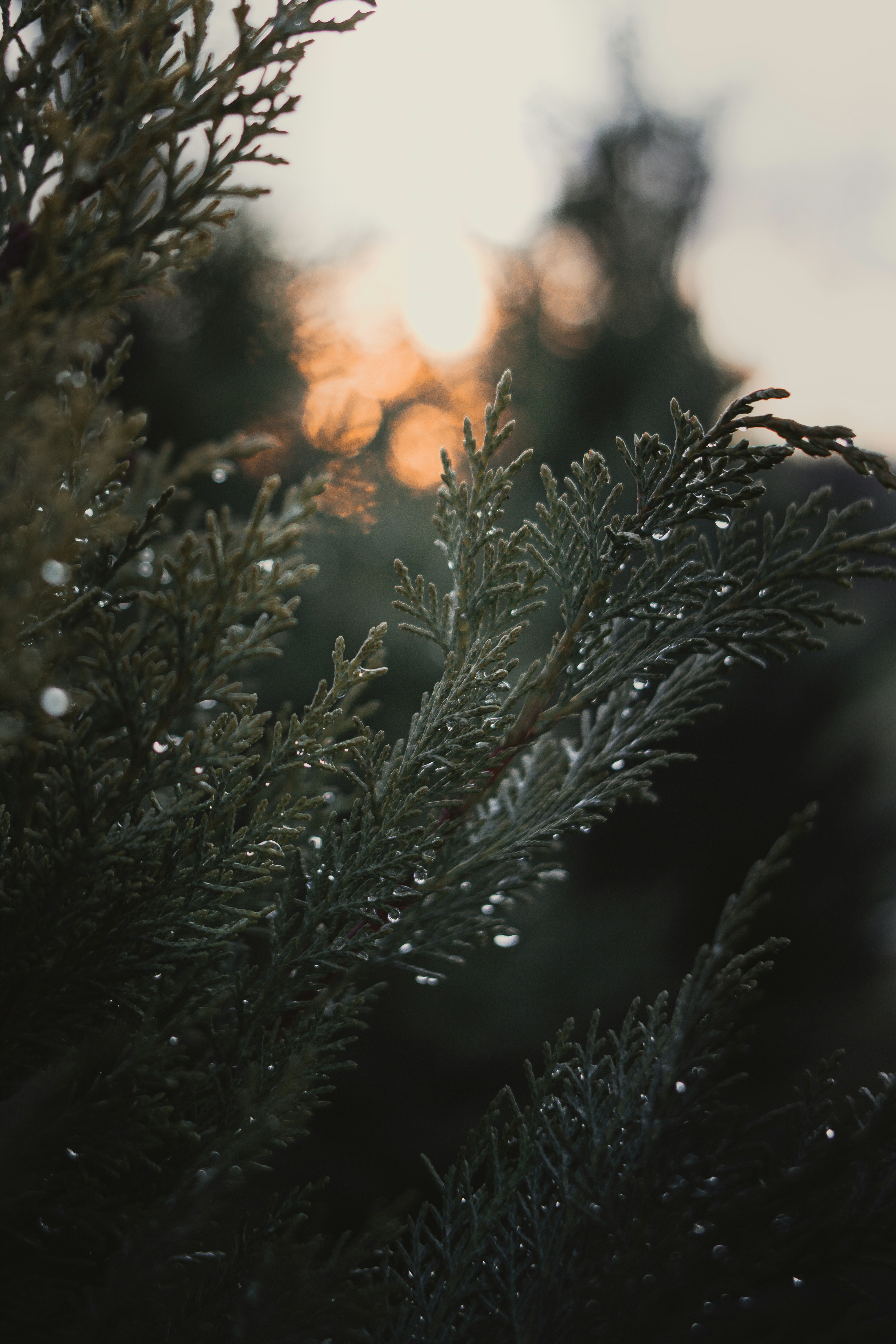 Photo by annaspoljar