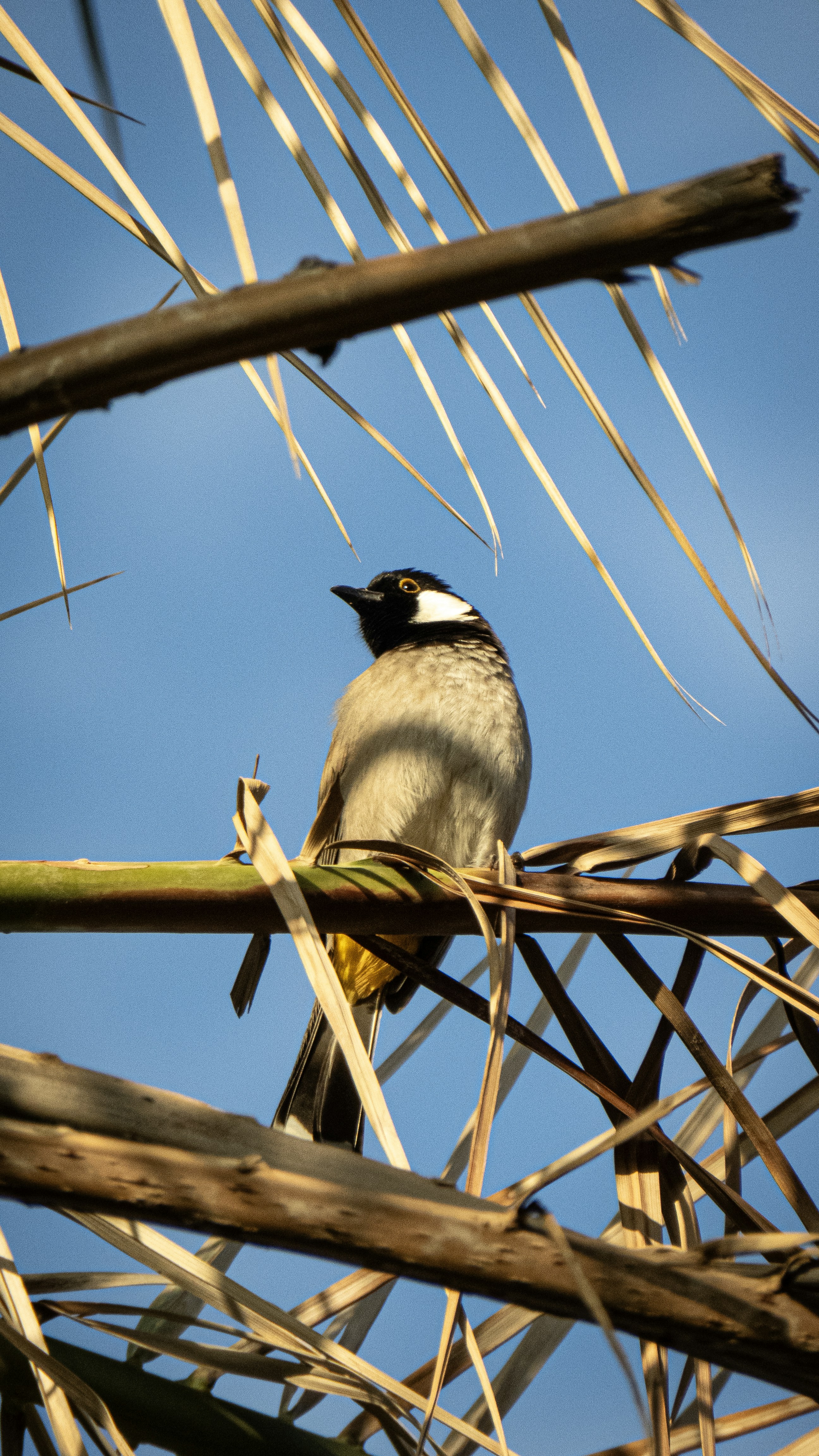 Photo by sinamoshtaghi