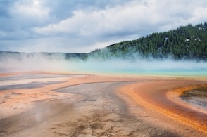 Steaming colorful hot springs with a forest background