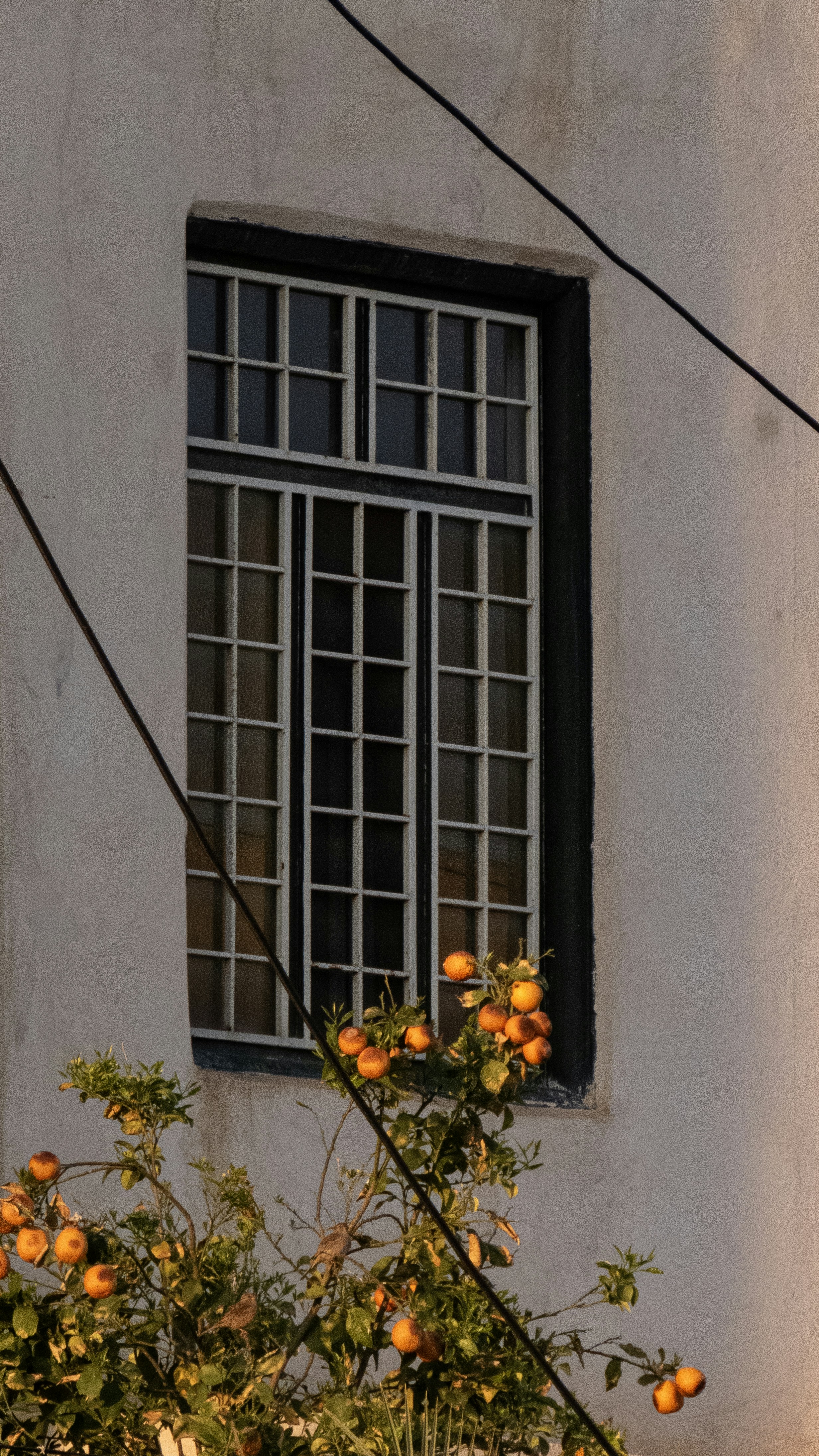 Photo by sinamoshtaghi