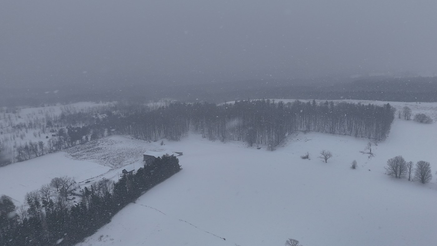 Four Real Seasons, Orangeville