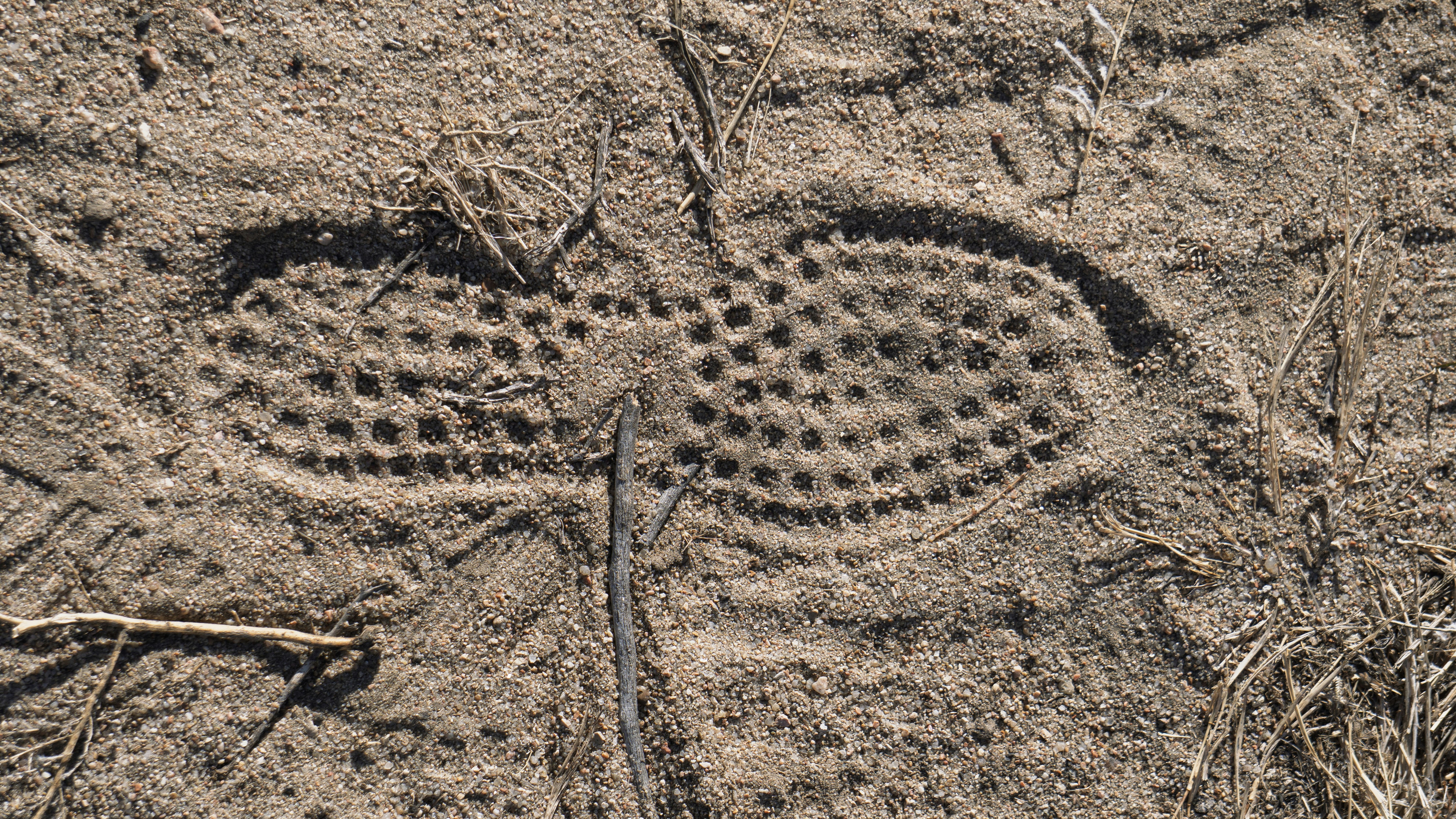 A footprint with a circular pattern in dry dirt.