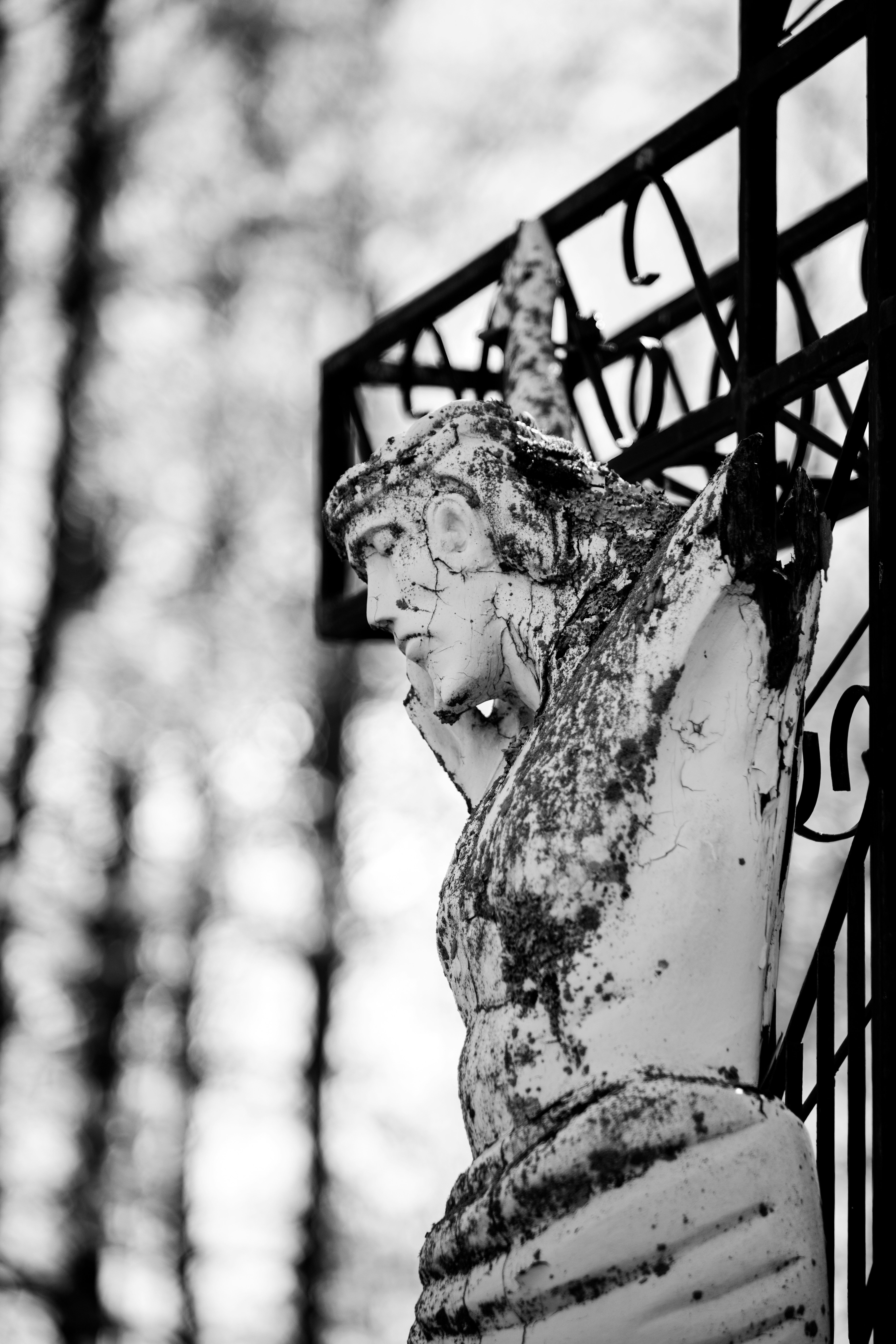 Photo by carolgauthier