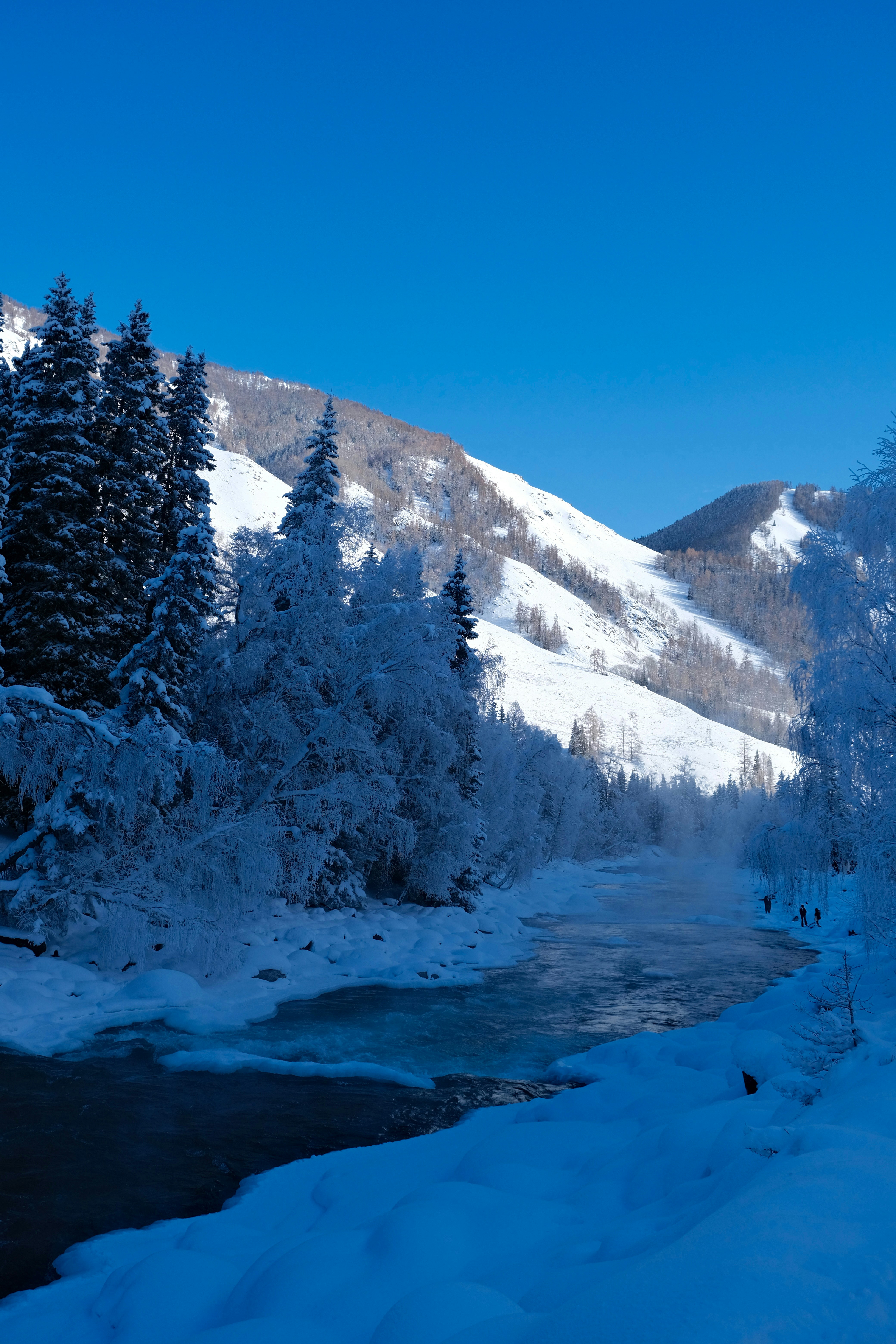 Photo by capricorn_song