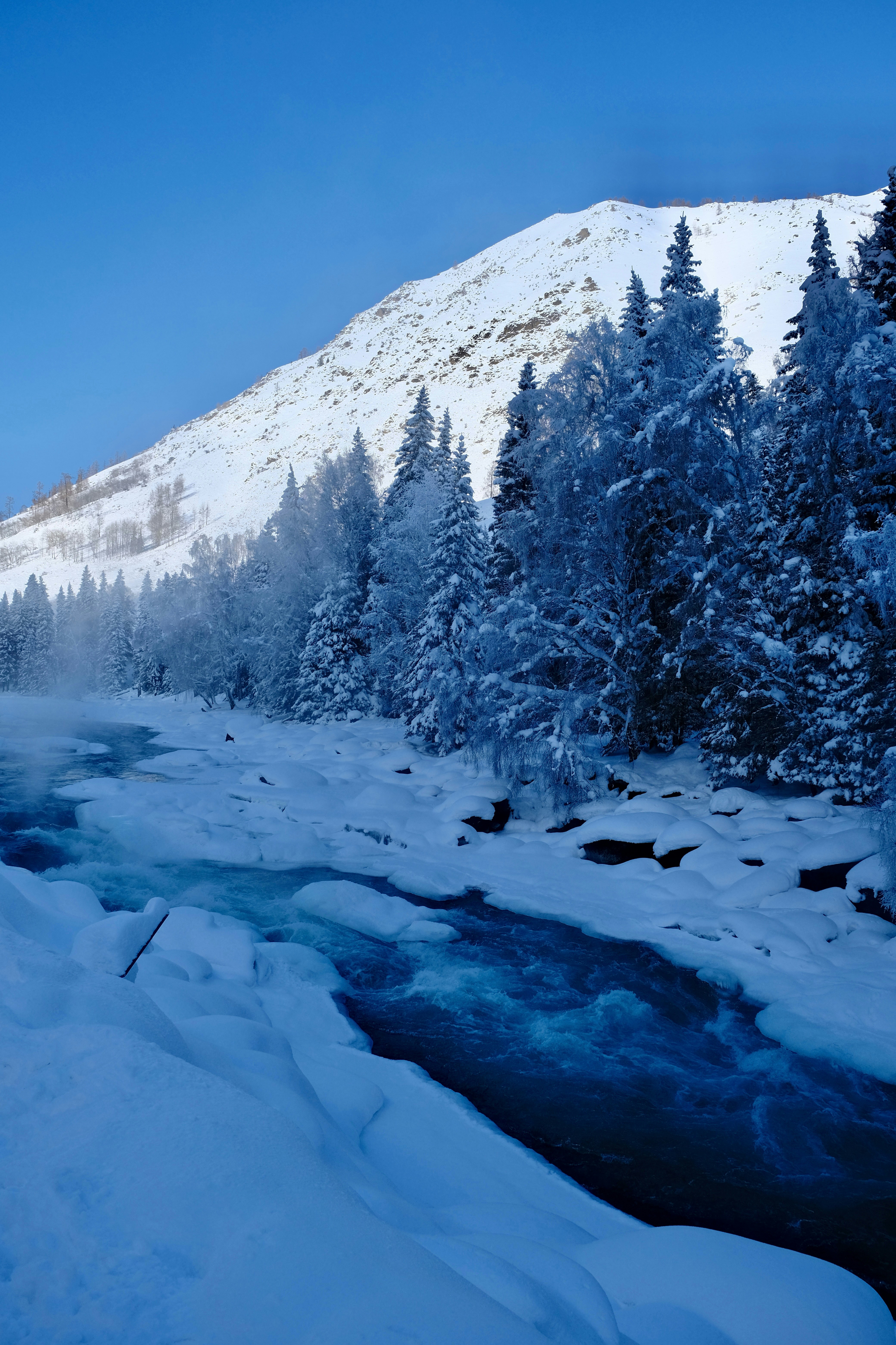 Photo by capricorn_song